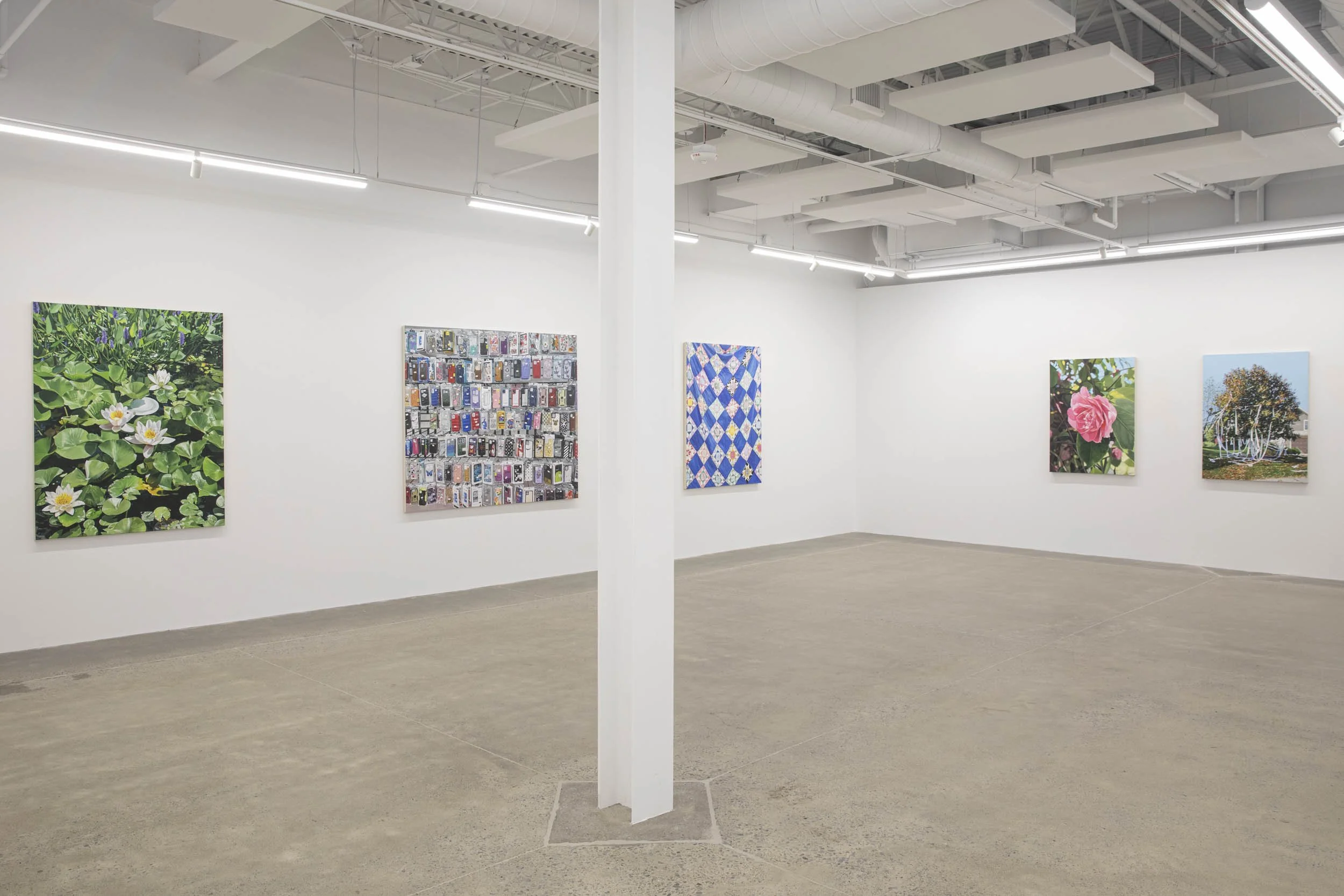Installation view: Louise Jones:  Inheritance 