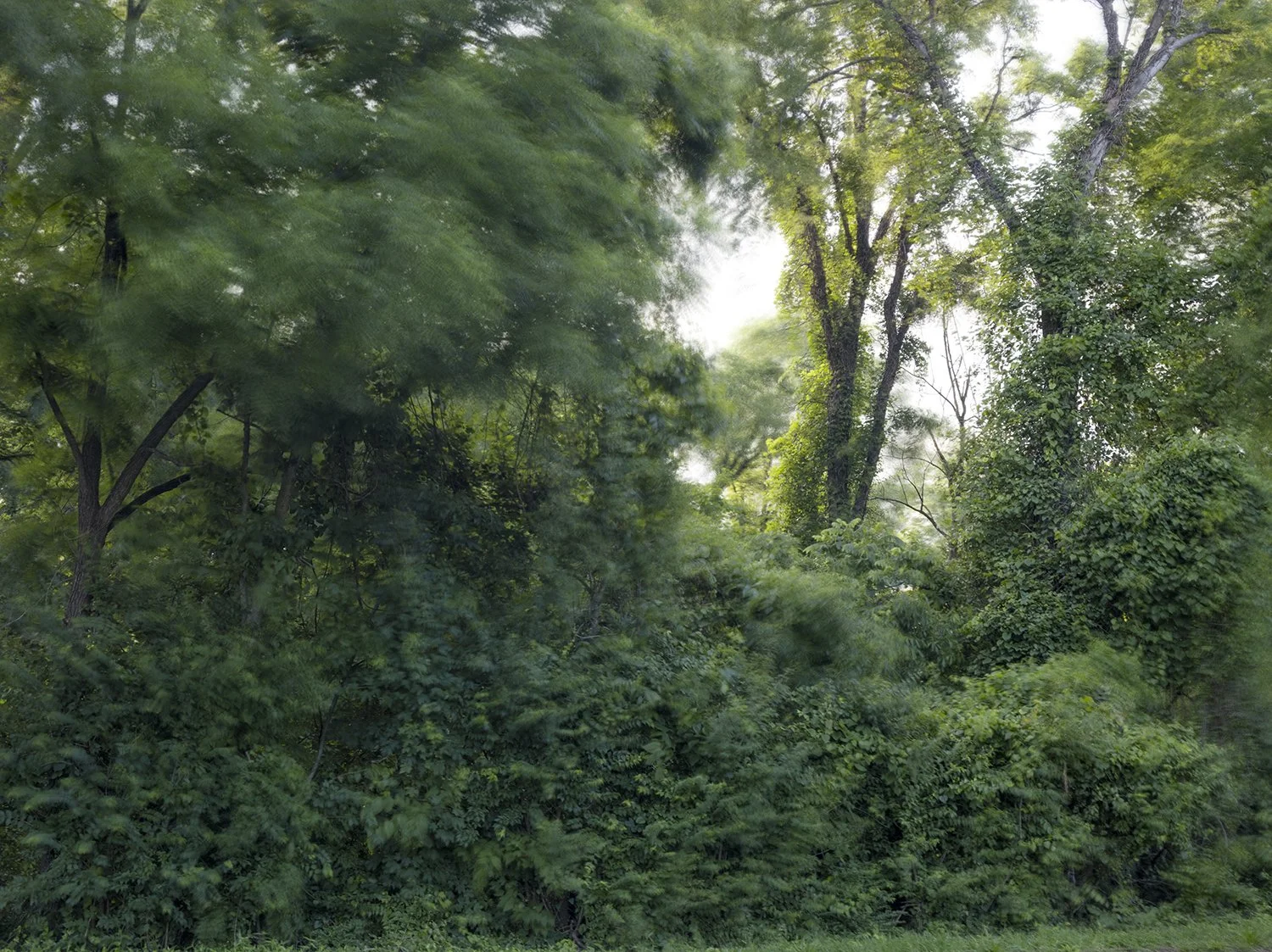 Caroline Allison 
 The Weight of Wind , 2025 
Archival pigment print 
36 x 46 in (91.4 x 116.8 cm) 
IN9635