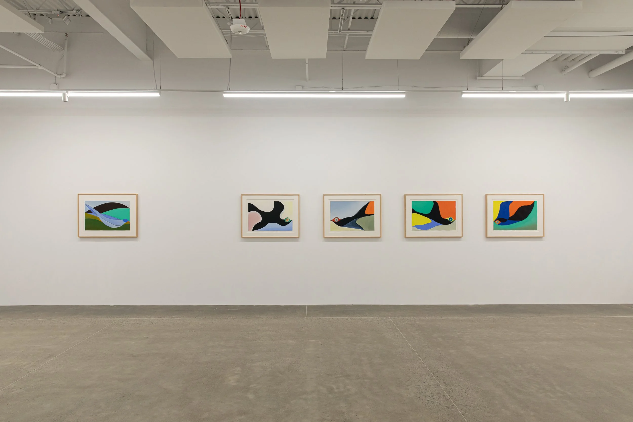 Installation view of Anthony Miler: Not Titled