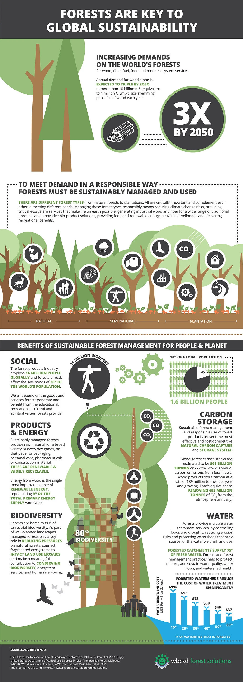 THE IMPORTANCE OF ALL FORESTS - INFOGRAPHIC - Treated Poles