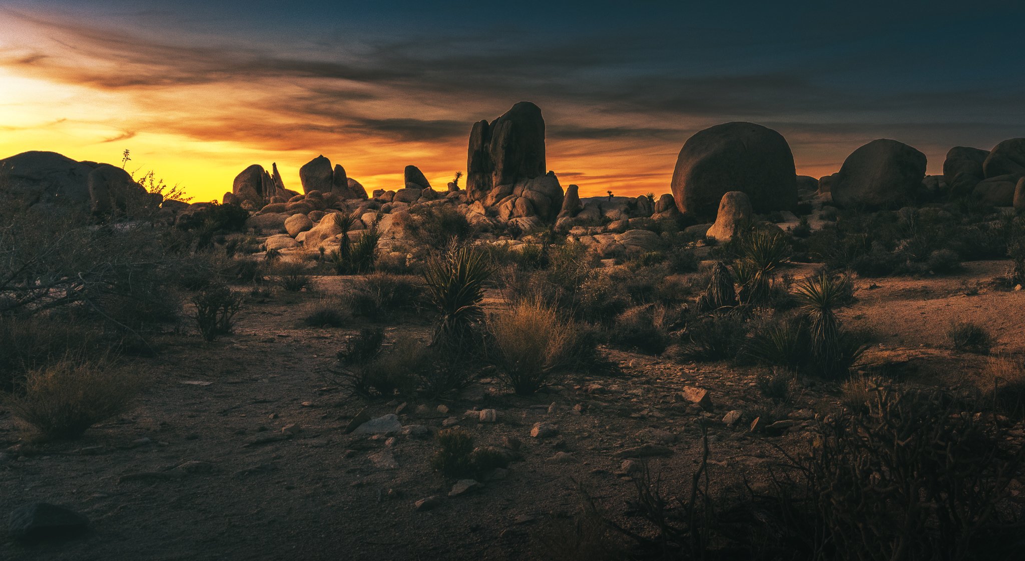 I've been playing around with some different editing styles lately.  I particularly like this matte, cinematic kind of look.  It doesn't hurt that Joshua Tree looks like something straight out of a Spaghetti Western.

#johsuatree #spaghettiwestern #r