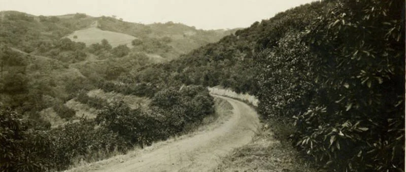 Turnbull Canyon Hauntings