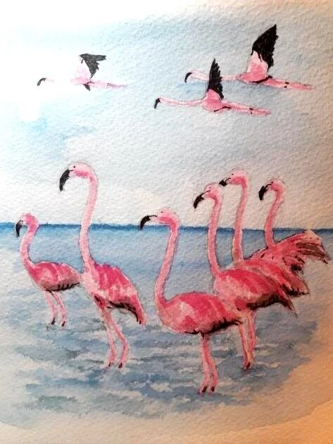 Flamingos
