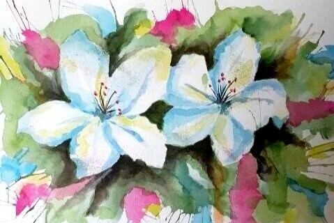 Lillies
