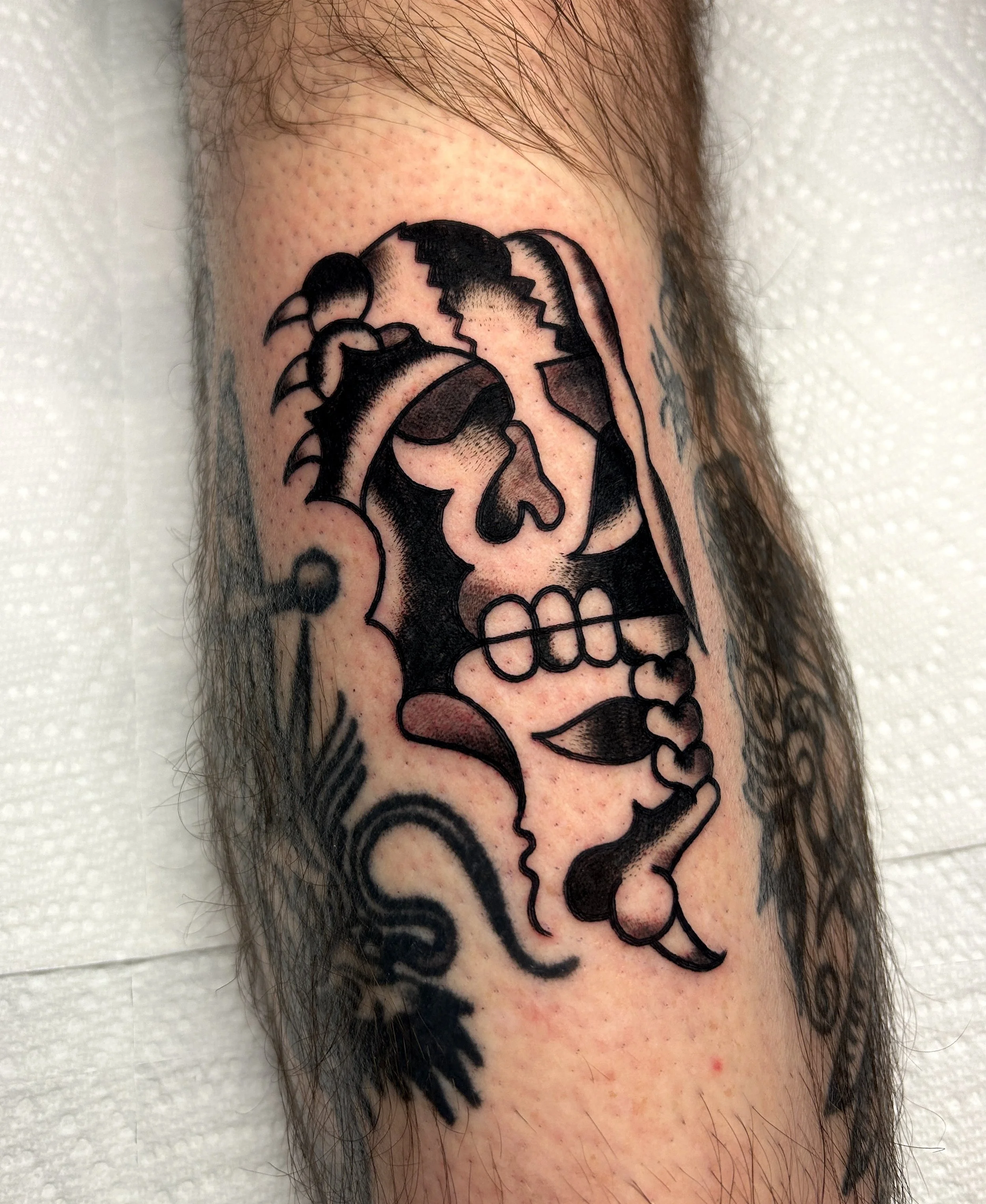 Skullshin.jpg