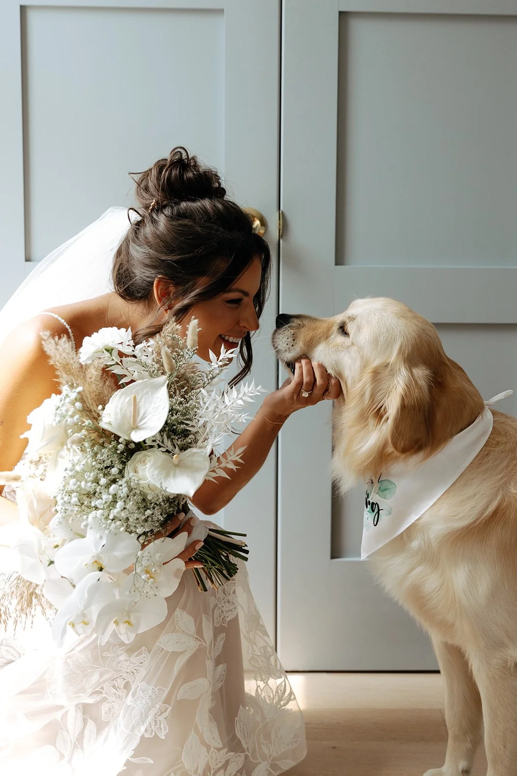 A bride in a wedding dress holding a bouquet of white flowers, gently touching the face of a golden retriever wearing a white bandana.