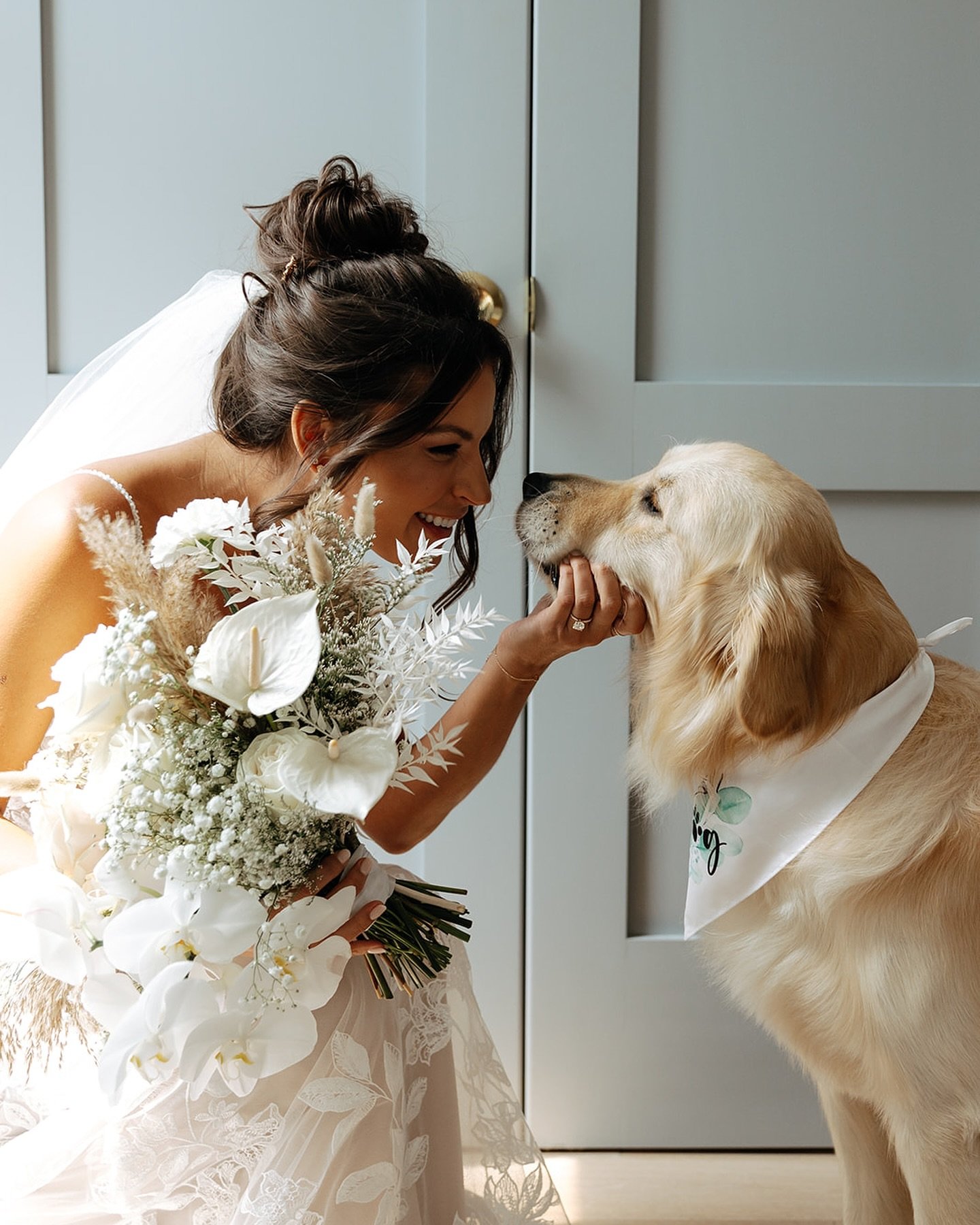The sweetest moments with this little squeeze 😍 @beautyasylum_charlotte #beautyasylum @dbeautylabllc #beautyasylum_dailyn @uptownfunkyouupdo #beautyasylum_mallory | @samanthagriggphotography 

#charlestonwedding #charlottehairandmakeup #weddingpup #
