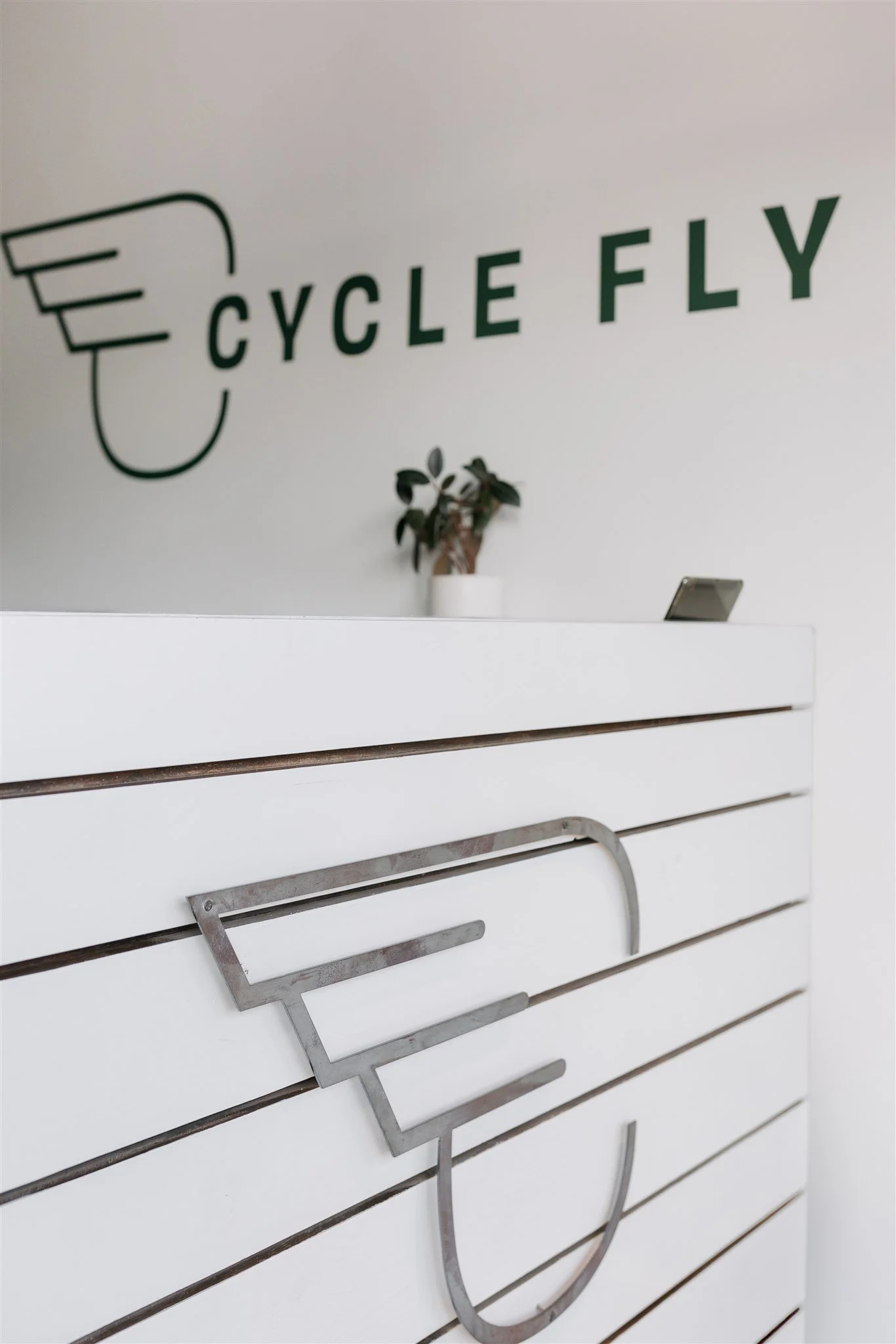 CycleFly2025_23.jpg