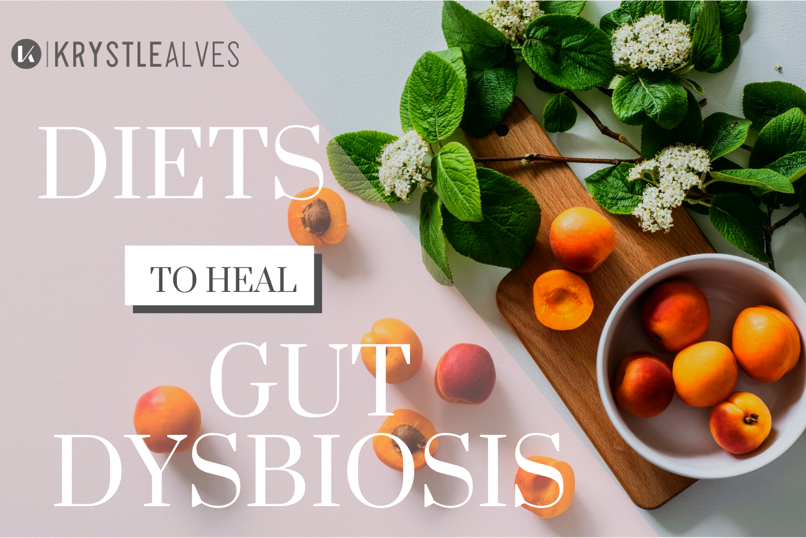 Diets to heal gut dysbiosis