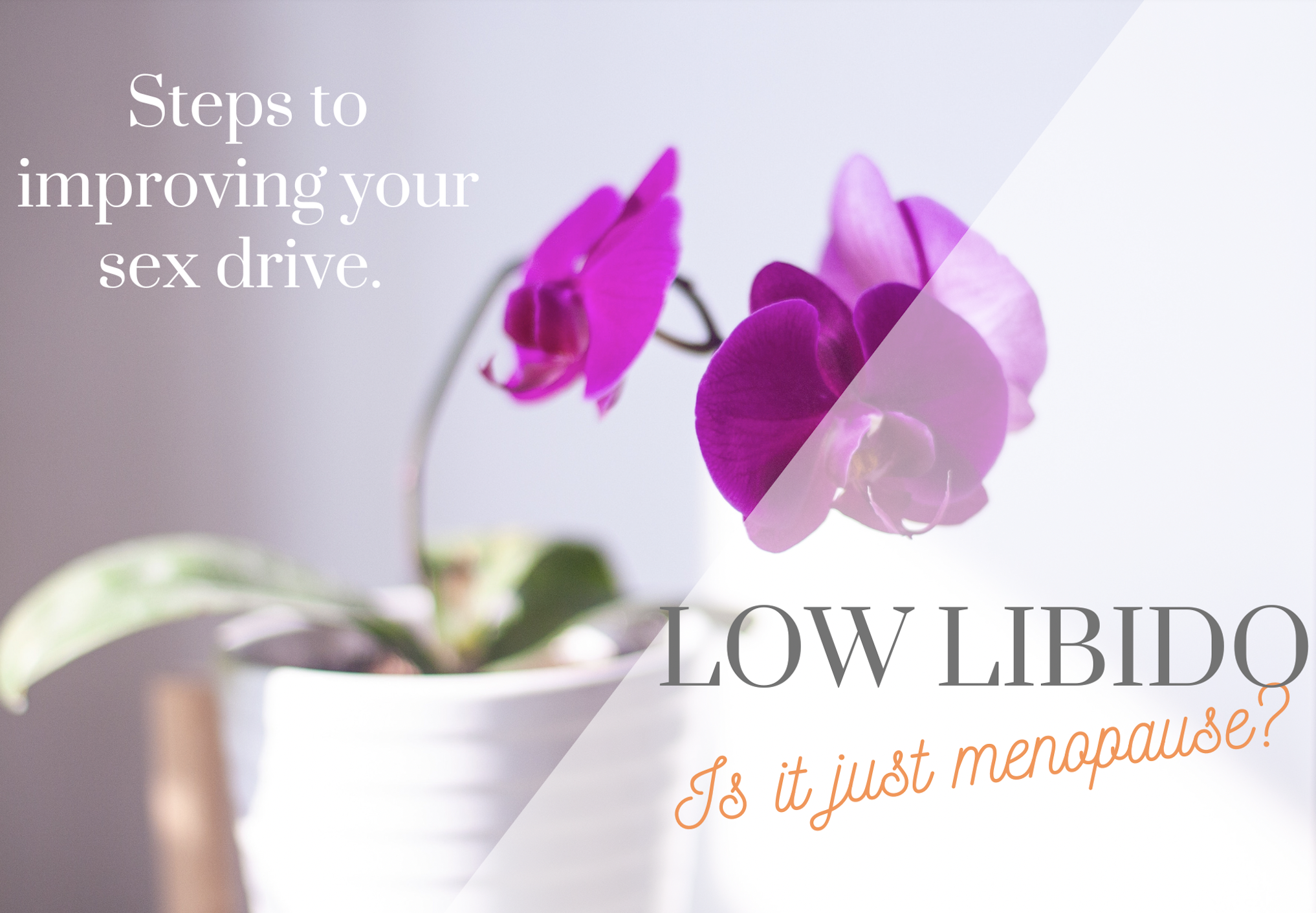 Menopause and low libido- where’s my sex drive gone?