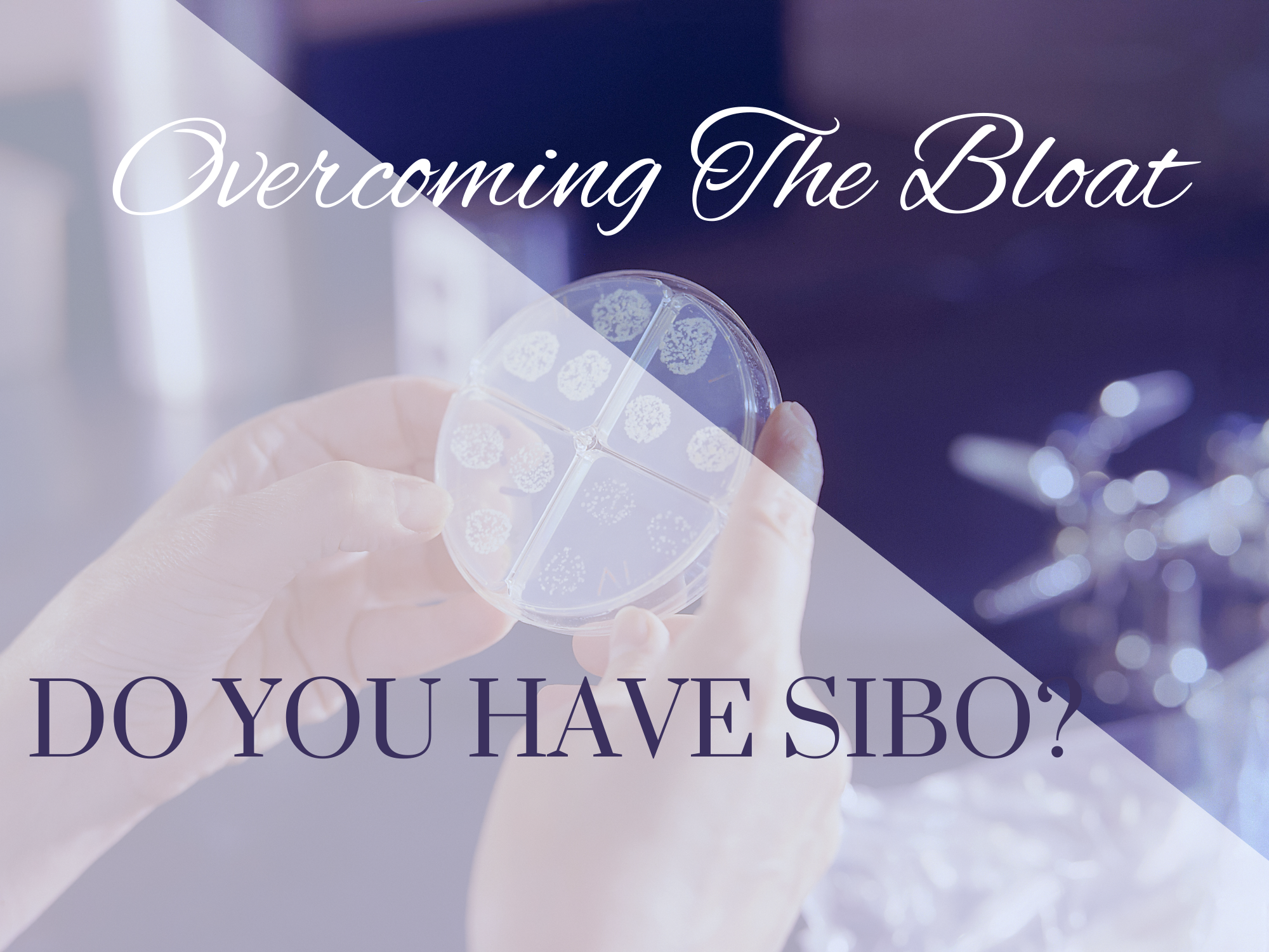 Chronic Gut Bloating: Is it just a sensitive gut or is there more going on?