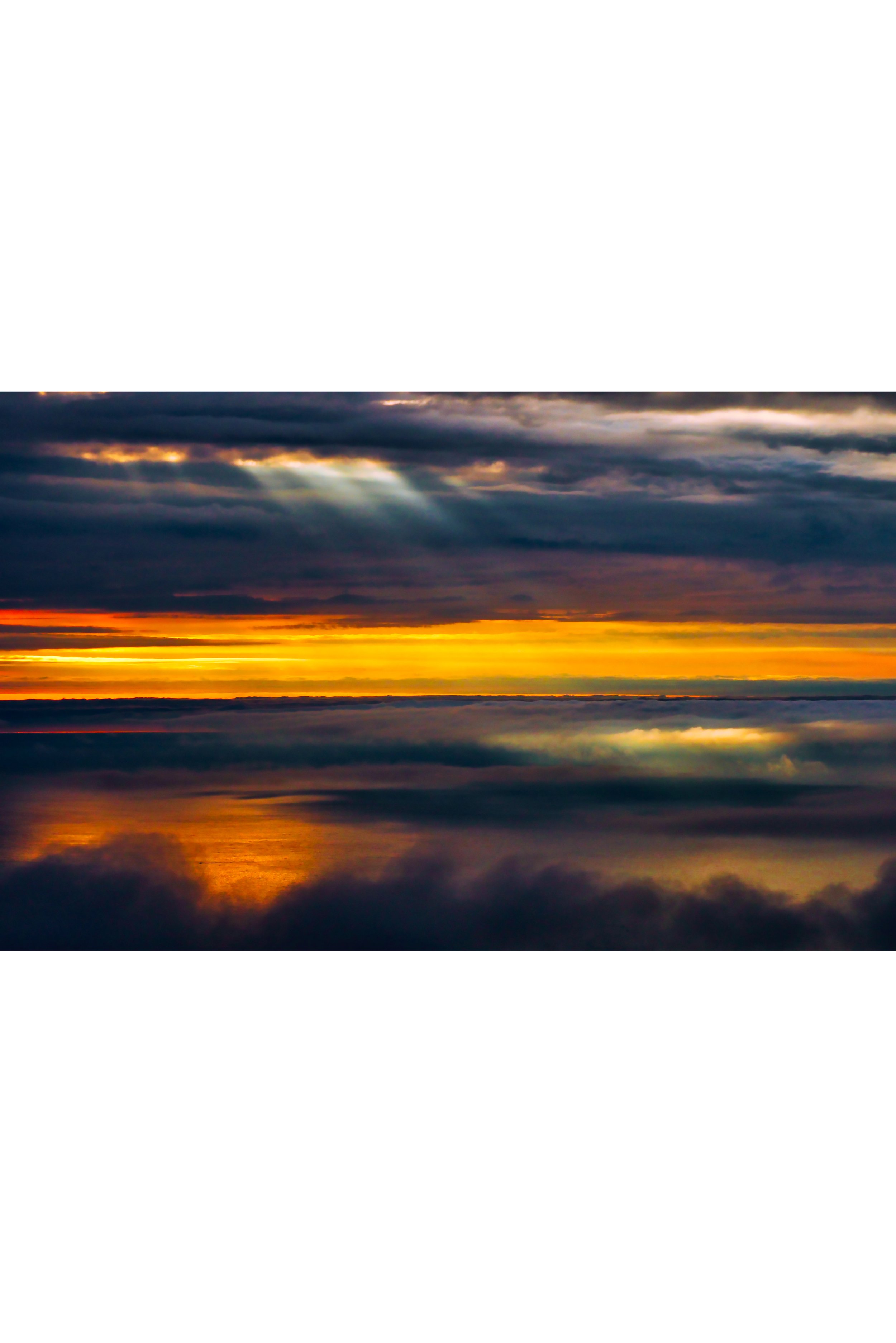 Resonance Reflected resized.jpg