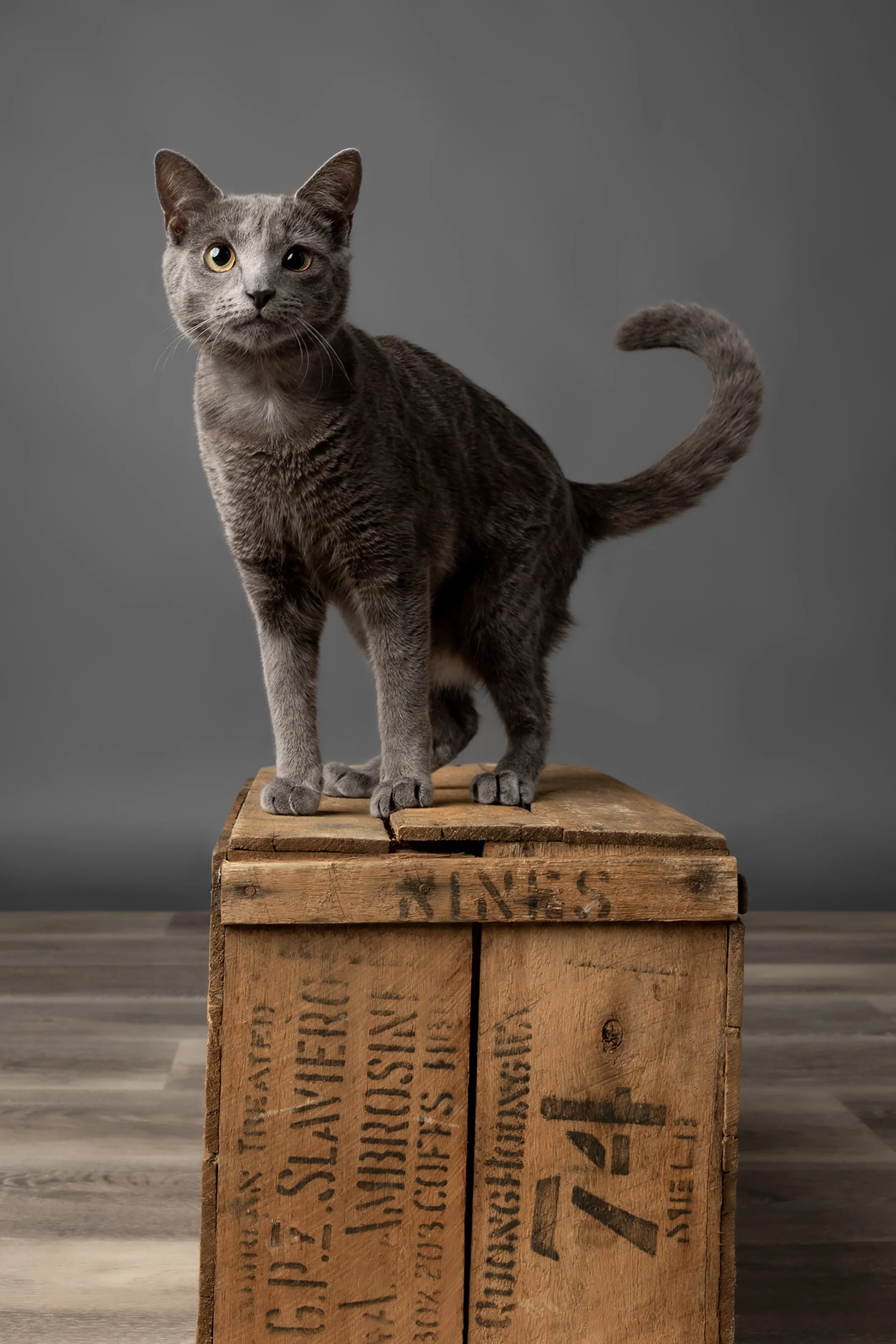 SmithLucy L1380042.jpg