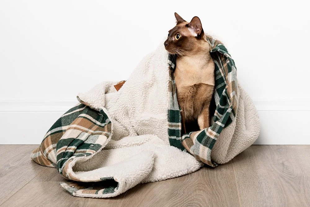 ElkingtonZoe A1340166.jpg