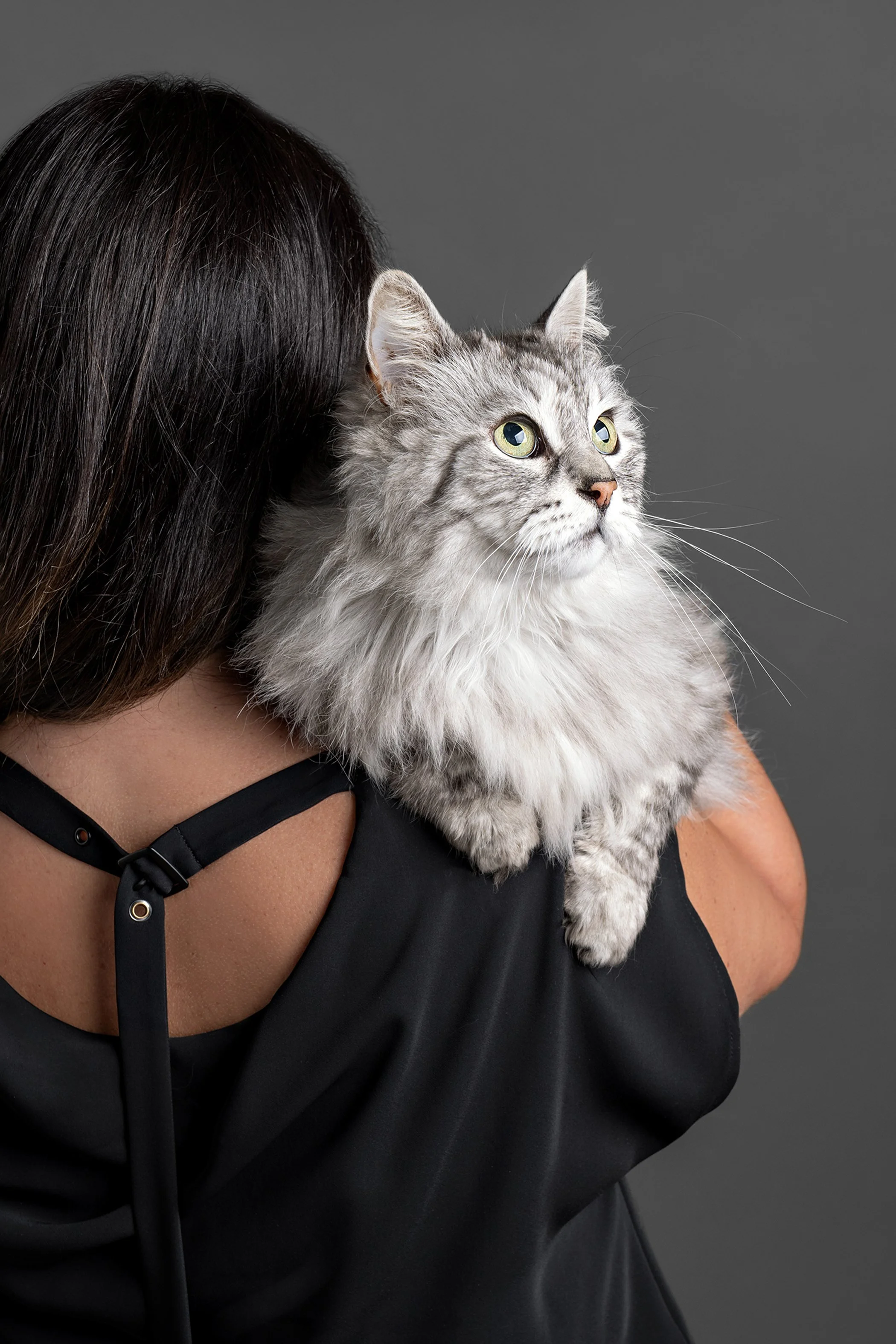 Tadic-GrandeMary A1000949.jpg