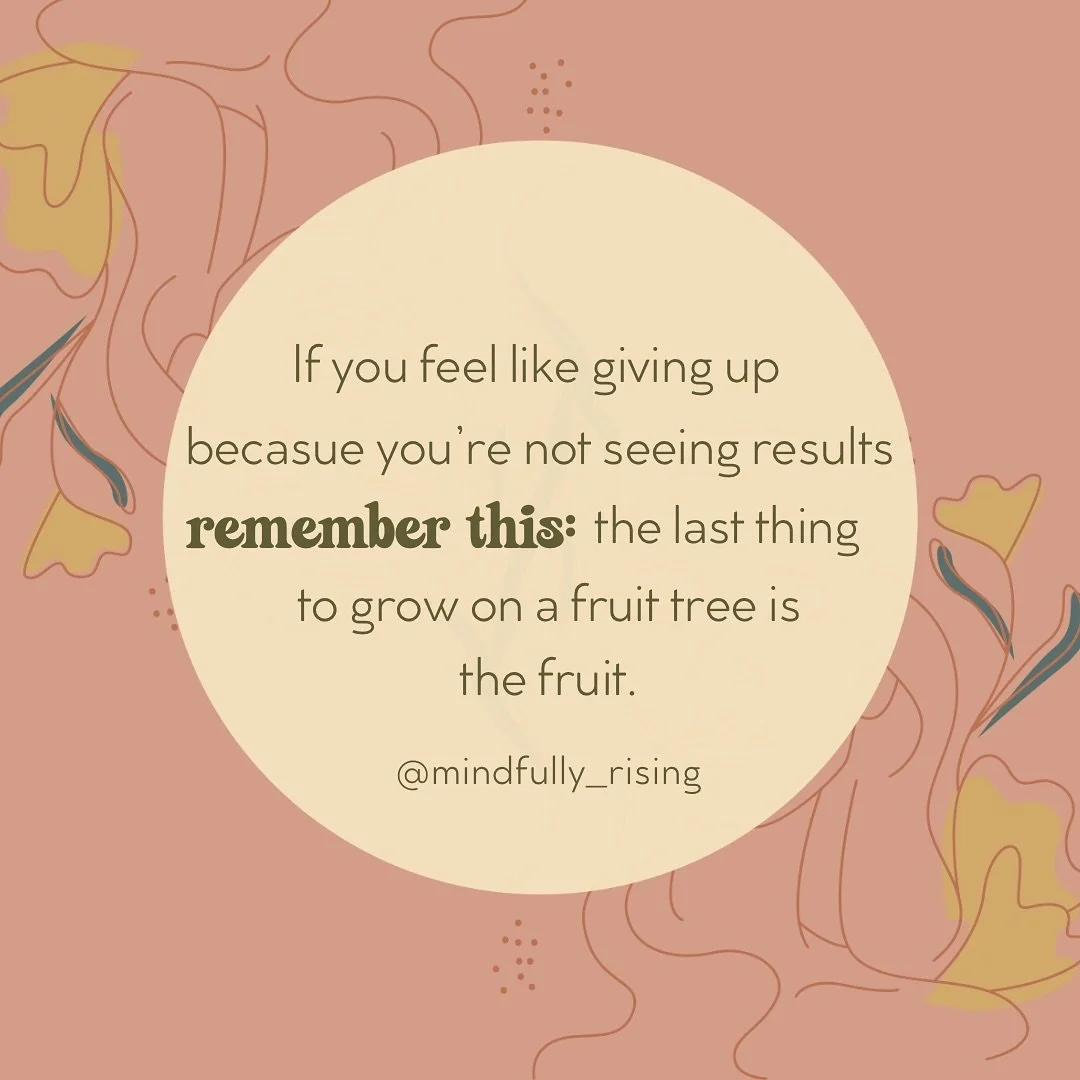 &ldquo;Don&rsquo;t give up&mdash;remember even fruit is the last to grow on a tree.&rdquo;

Your journey takes time. The roots you&rsquo;re tending today (habits, healing, boundaries, growth) are what will bloom into the sweet rewards later. Trust th