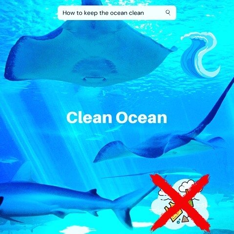 You might think that ocean debris is just ugly and that is why everyone is so worried about cleaning the ocean. Unfortunately, more important than it being unsightly is how harmful it is.  Ocean debris seriously hurts or kills marine animals. Marine 