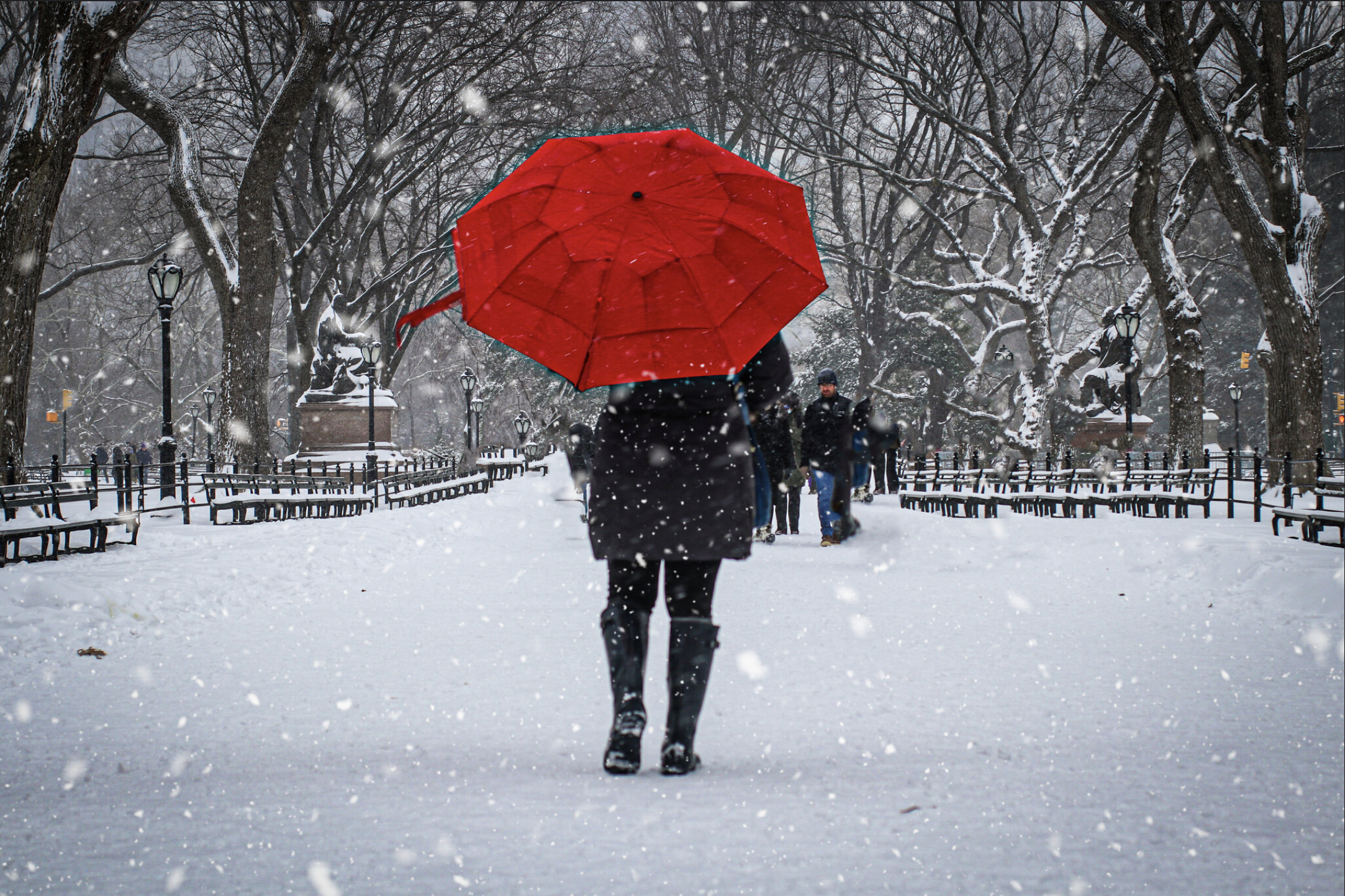 Screen Shot 2022-10-27 at 10.41.11 PM.png