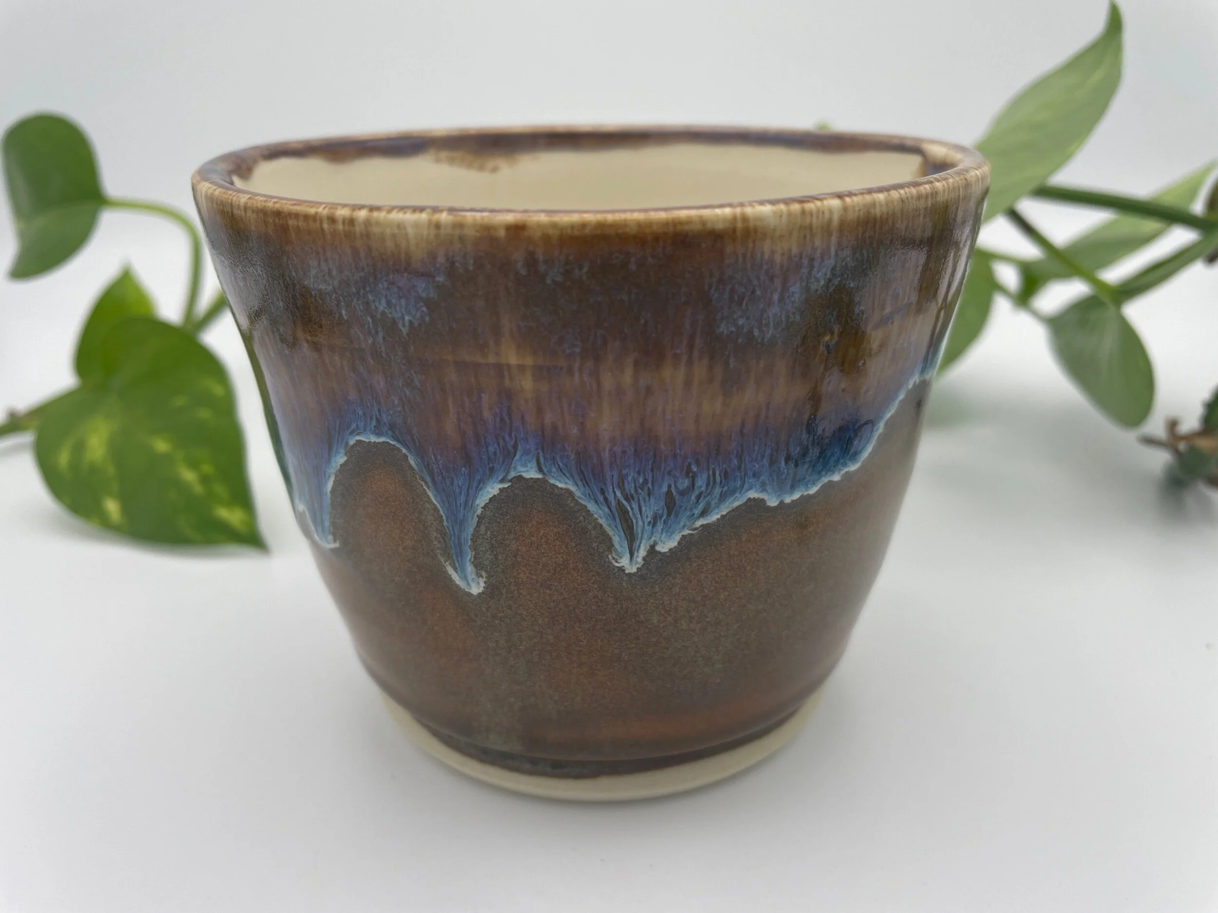 363B53E4-1836-494C-AC91-618DCECAC18C