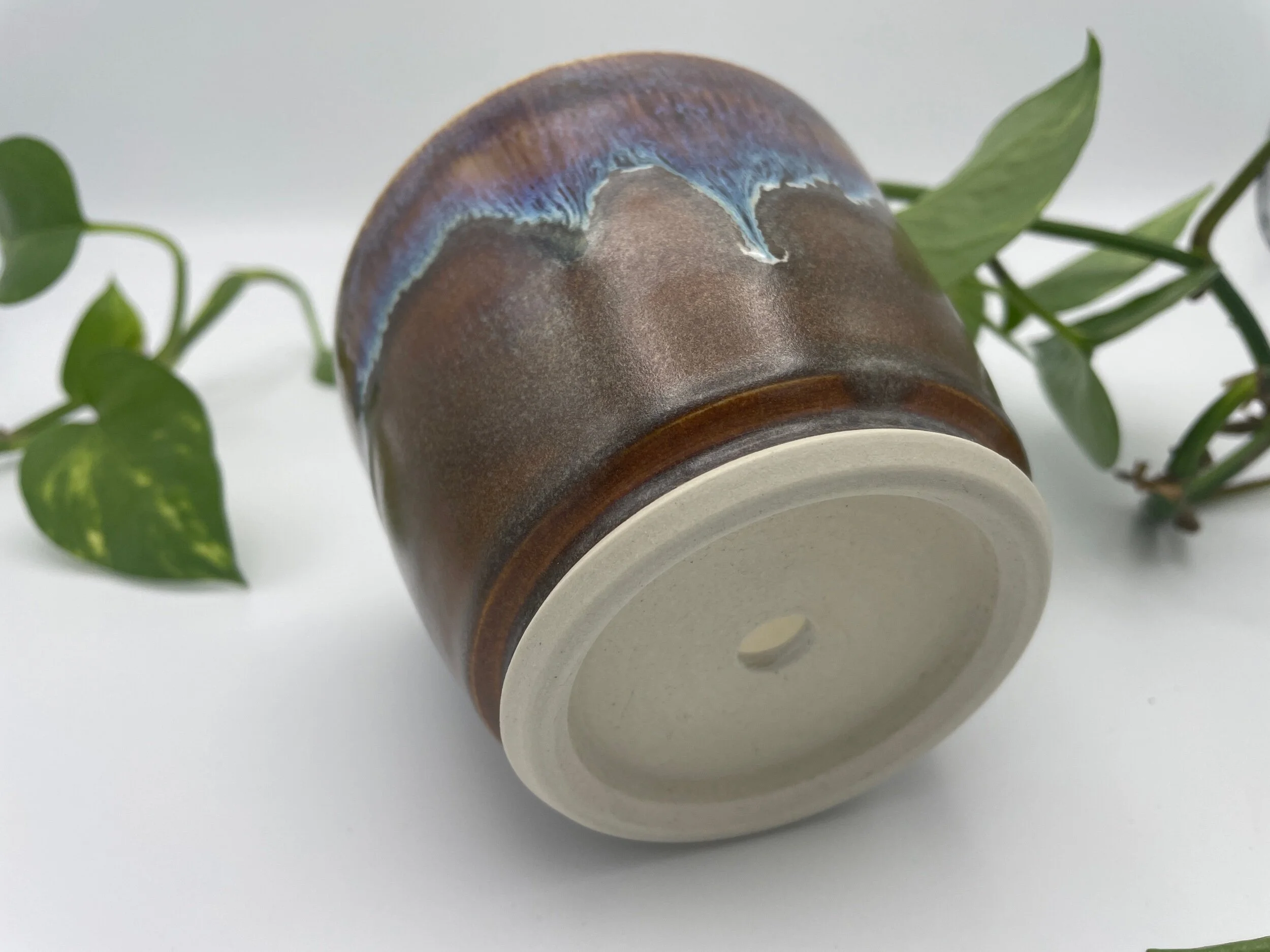 D1C5CB75-4E5C-4AFD-90B3-65304C30FADA