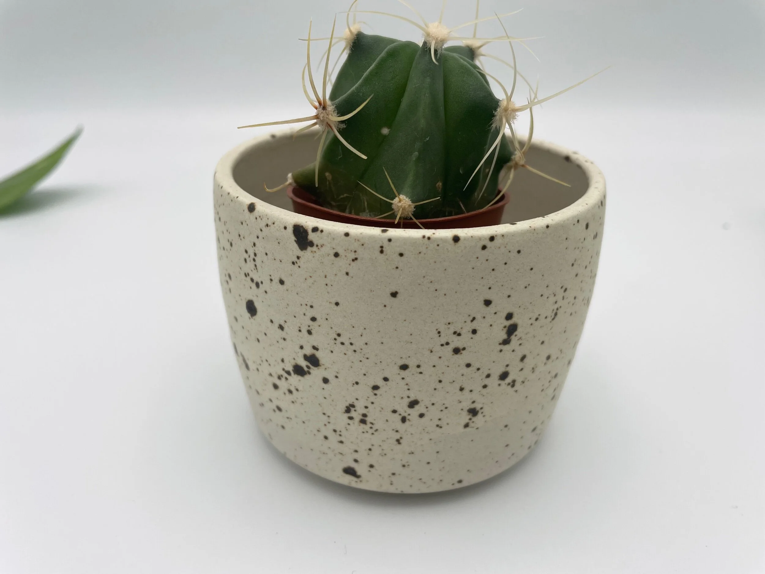 155FC2E4-0563-4E80-8B10-B5B78607457E