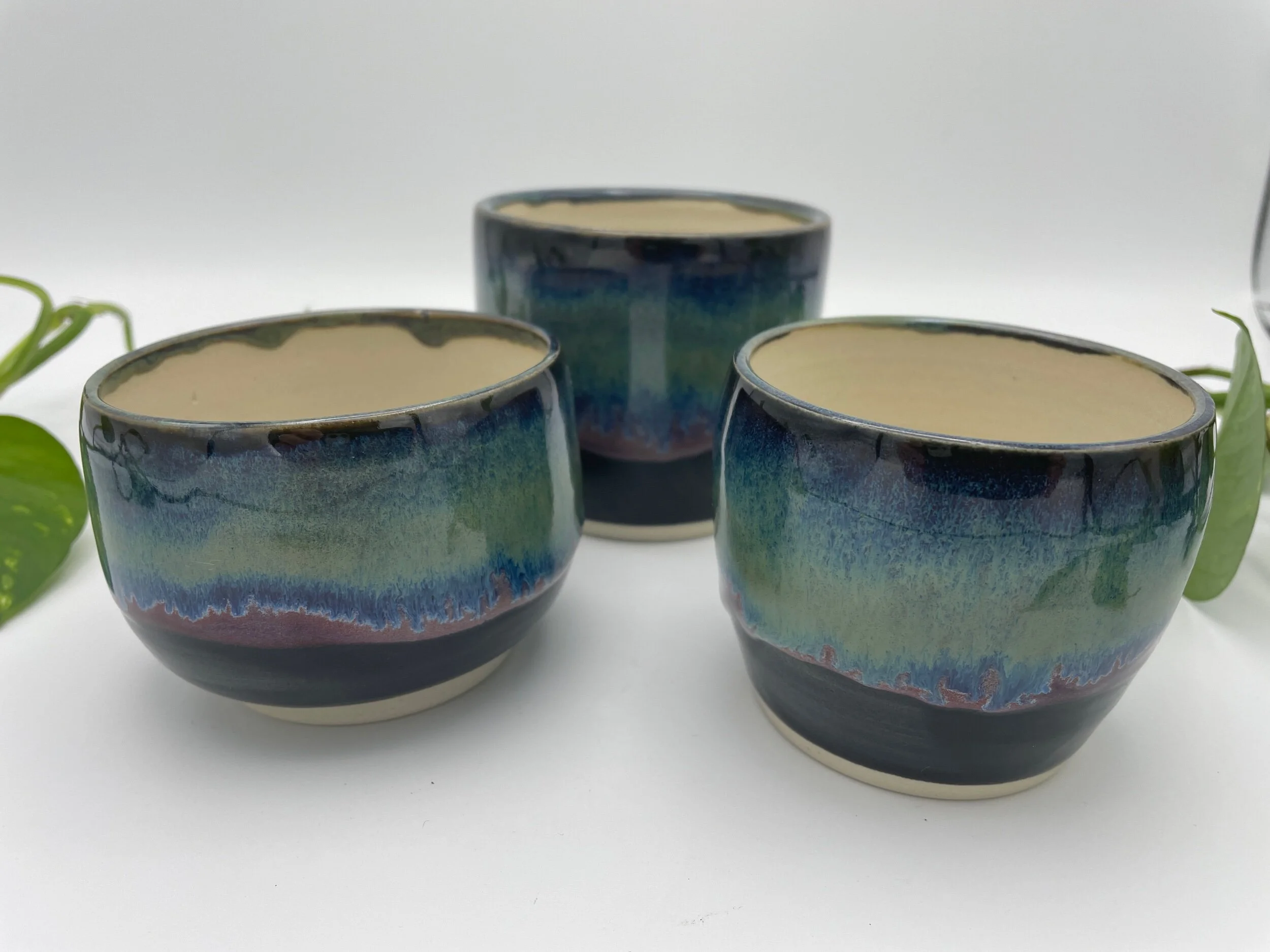 56EE85A3-558D-4E24-AAD7-69A155F885D1