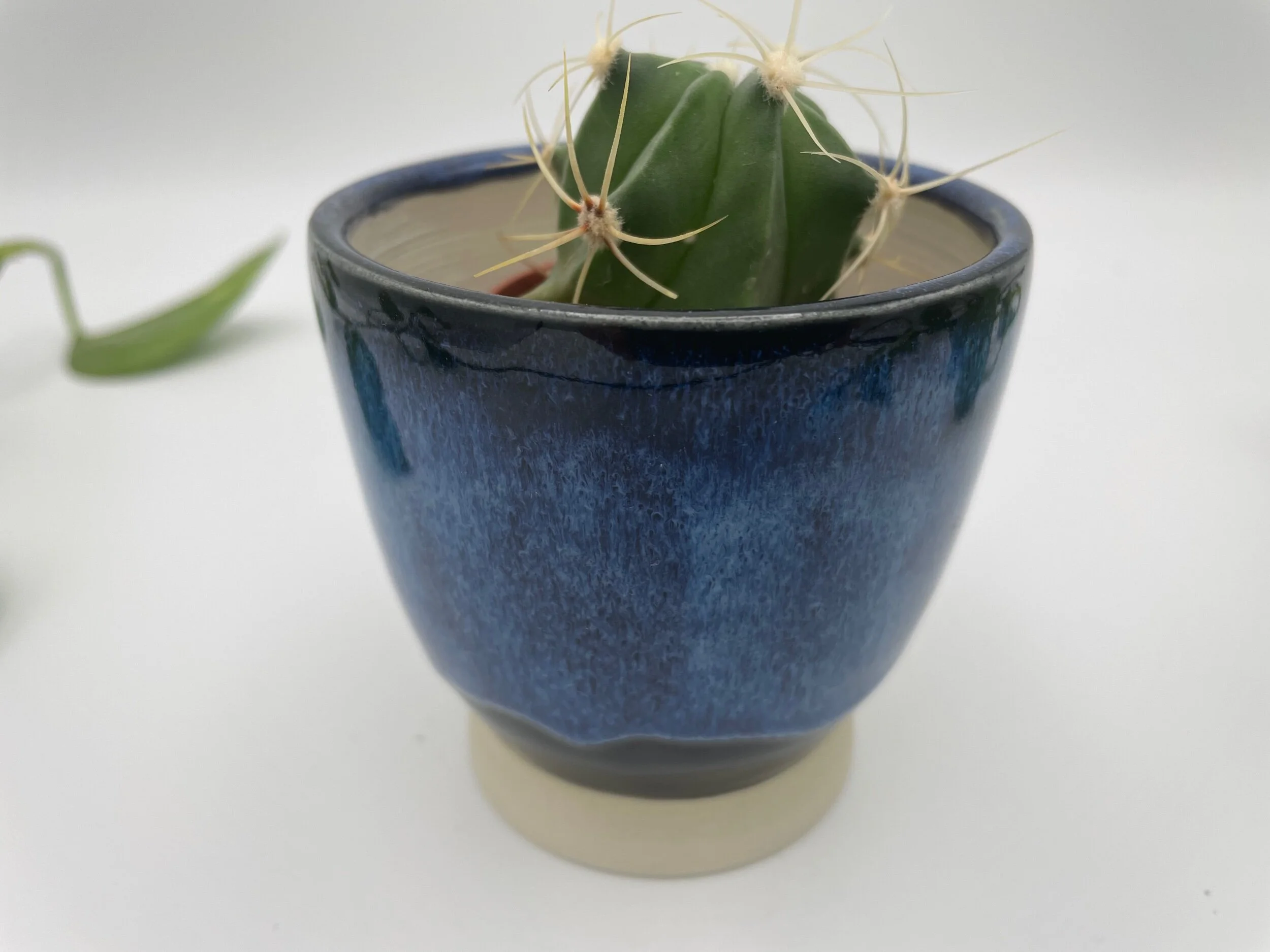 12BA31AA-EB68-438A-9CFA-C2203CAFB100