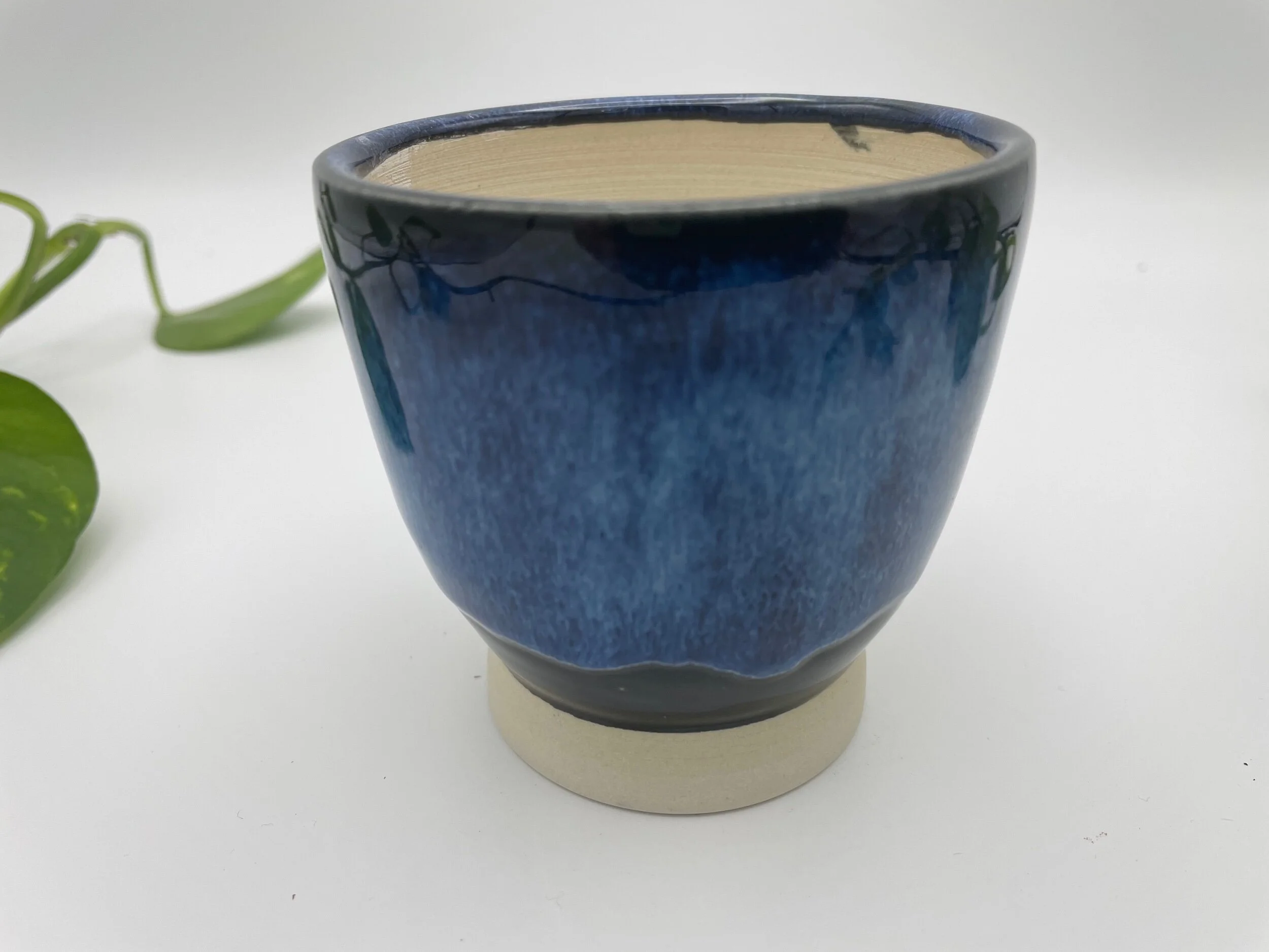 31F70161-C981-452C-893D-49EB40303837