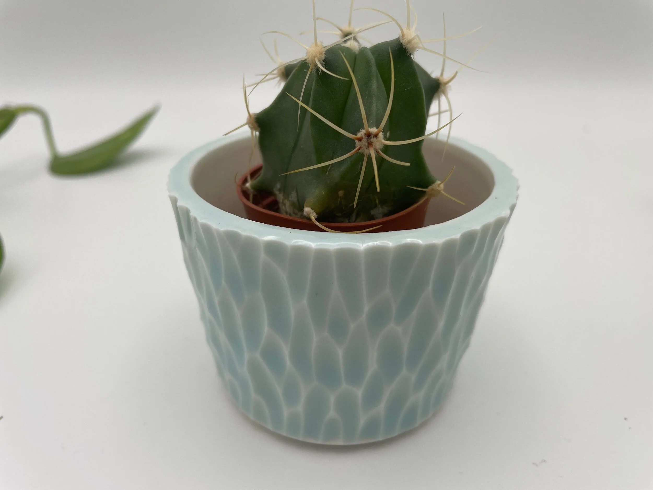 C64165D8-F353-4B33-9563-ED9D6FD59C33