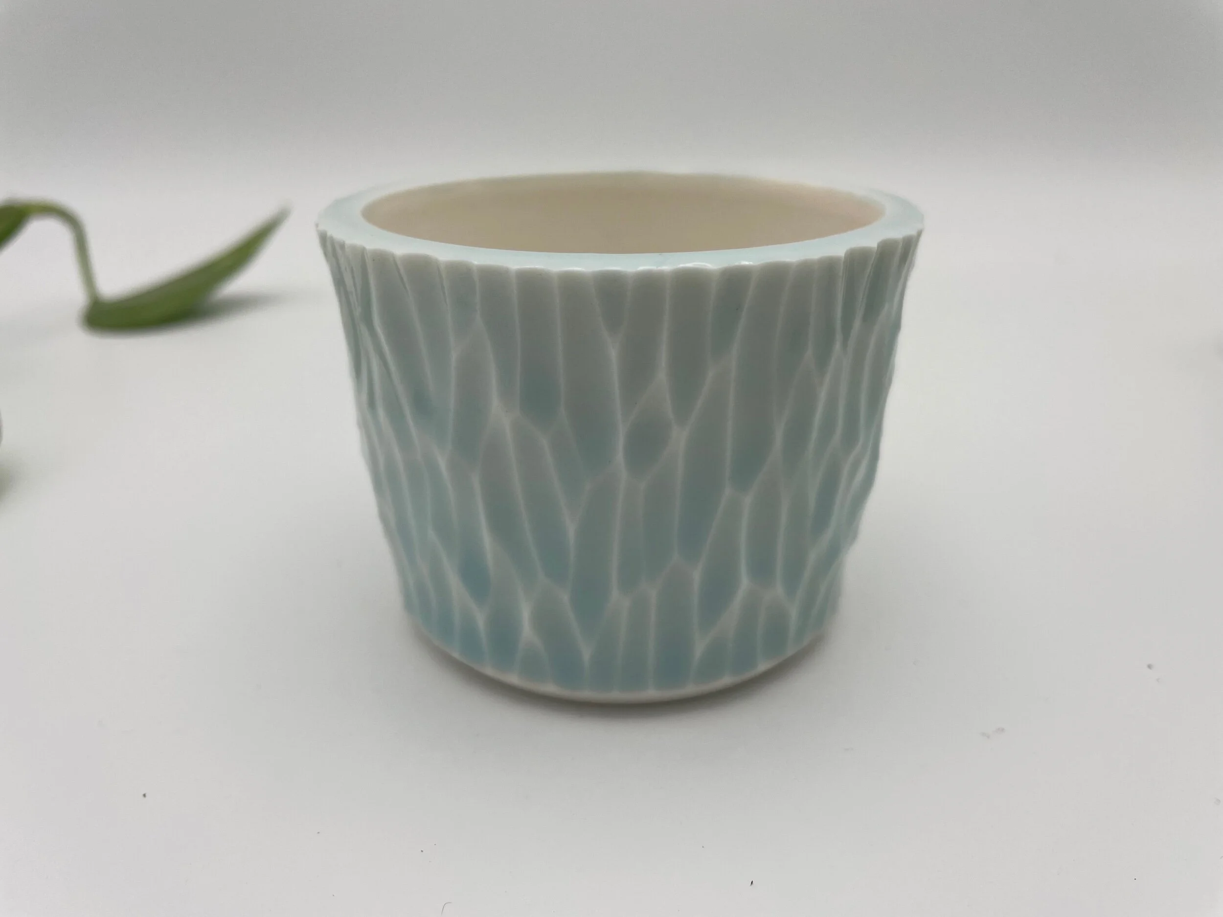 5BE055A6-8077-4401-9088-62AED32E2DCD