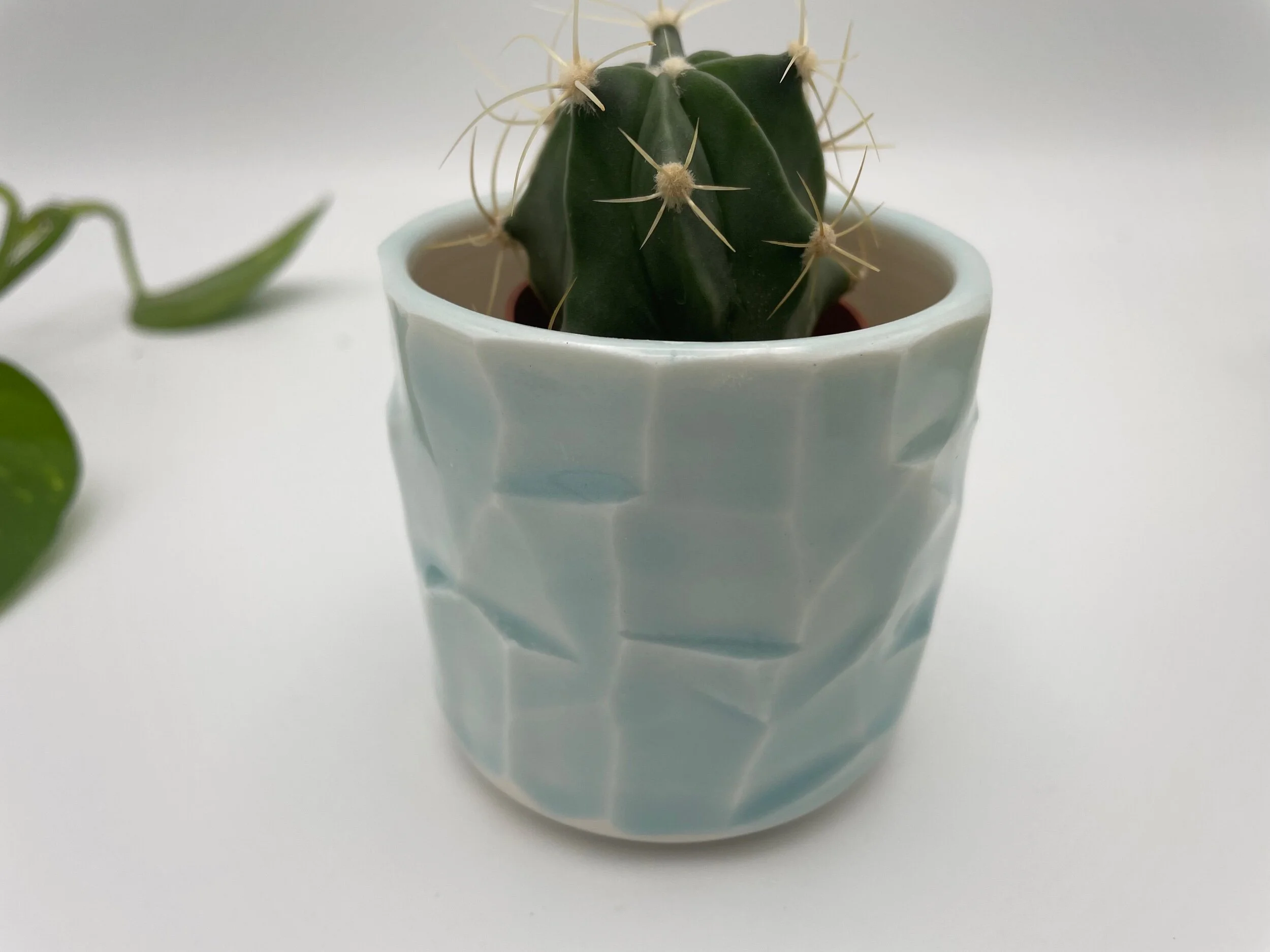 5FF4D20A-43EE-4083-B841-F1F9ECAAB6F0