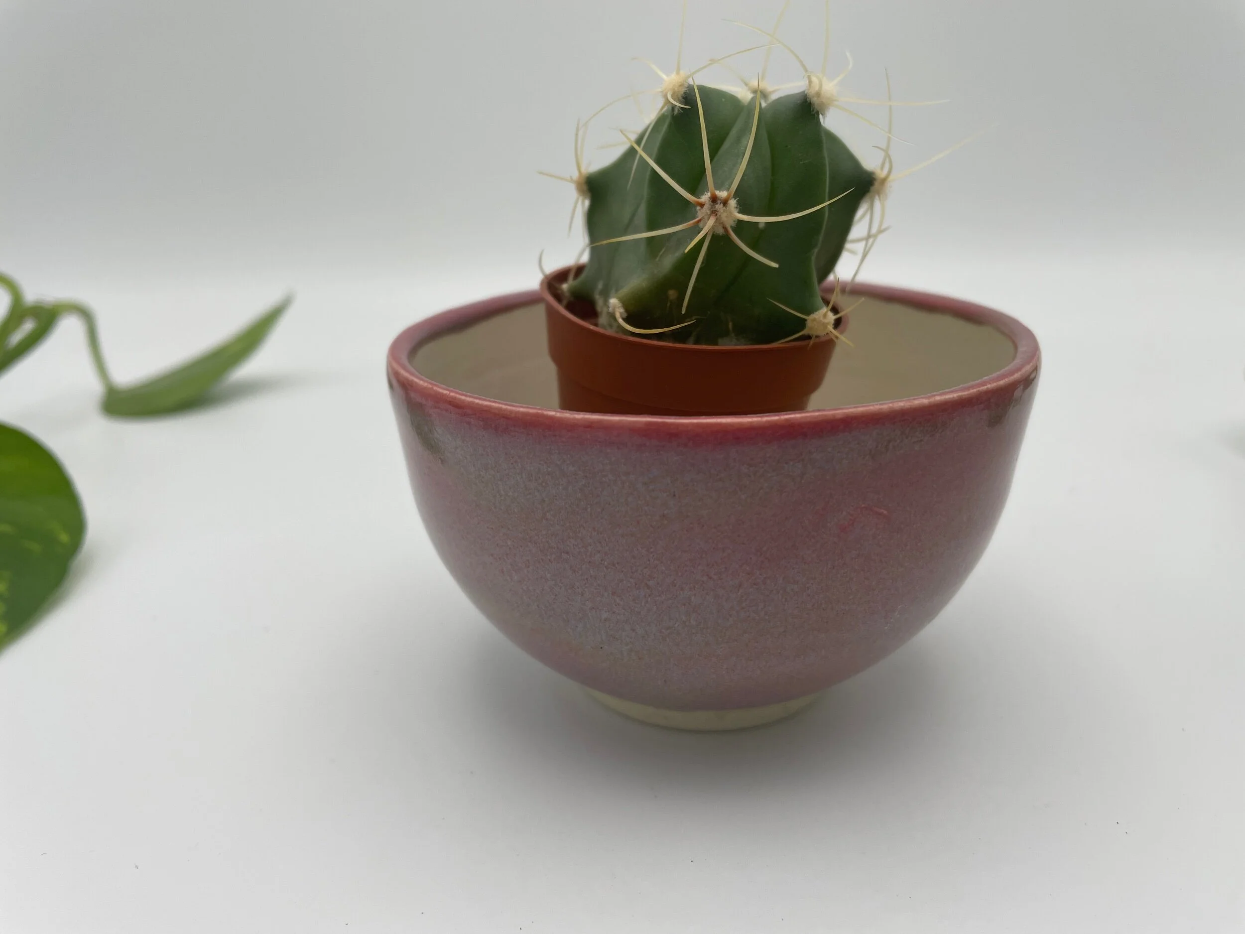 601487B8-309D-43D9-A27C-F0857ED55A89