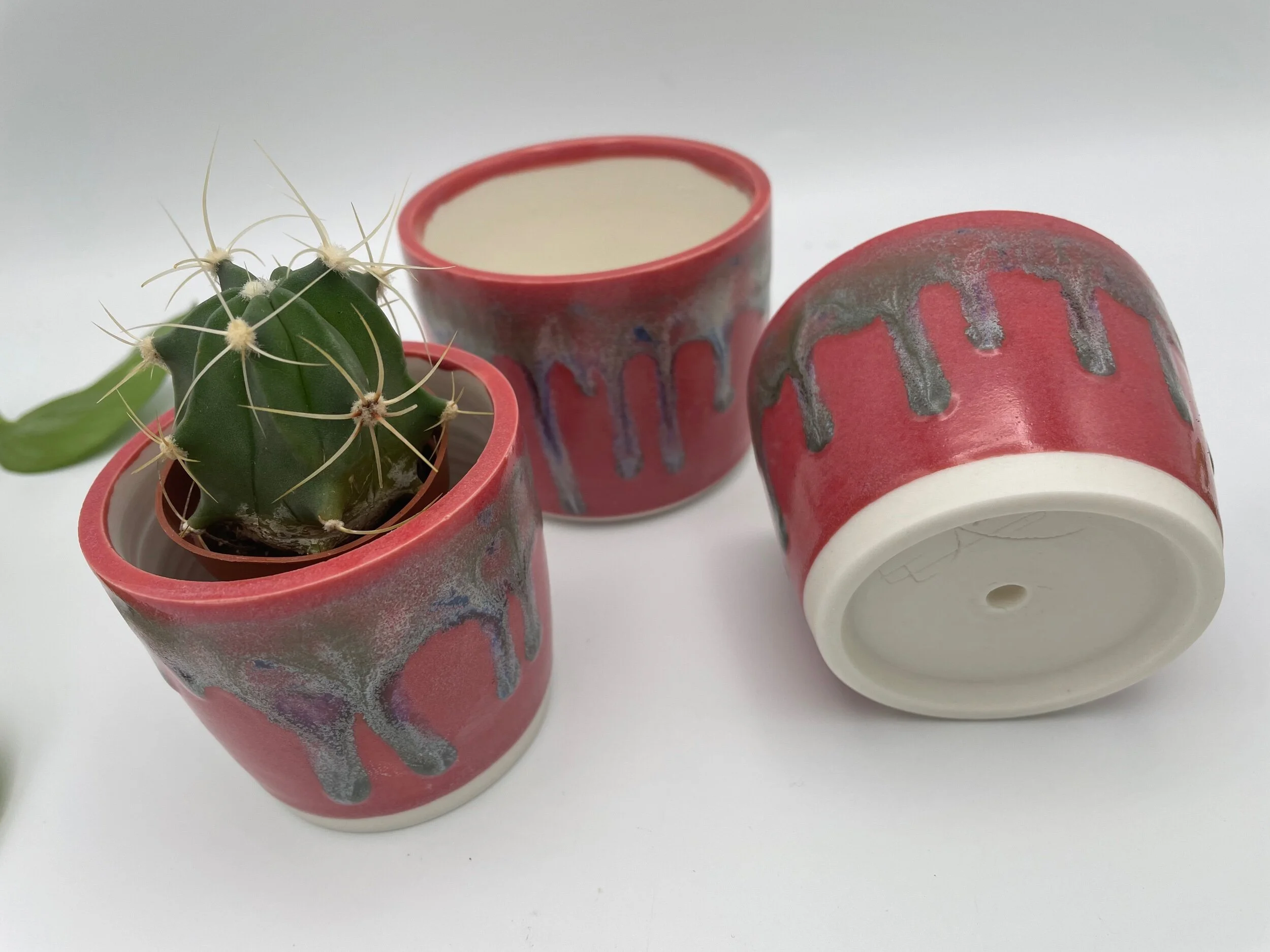 37F350AD-7FDC-4A63-B332-42CF2B701511