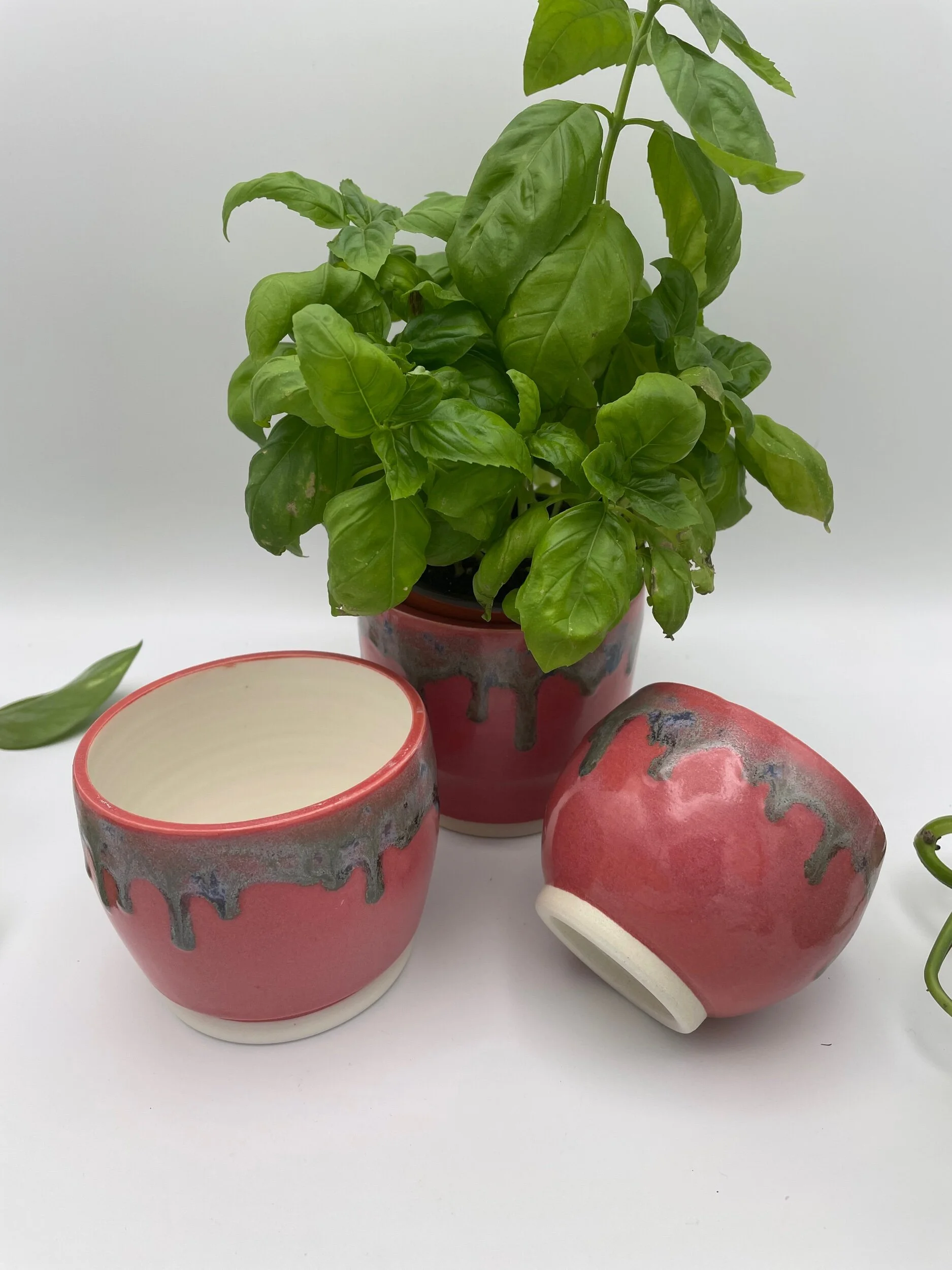 35F3510B-30E6-451B-A862-AC620BC08855