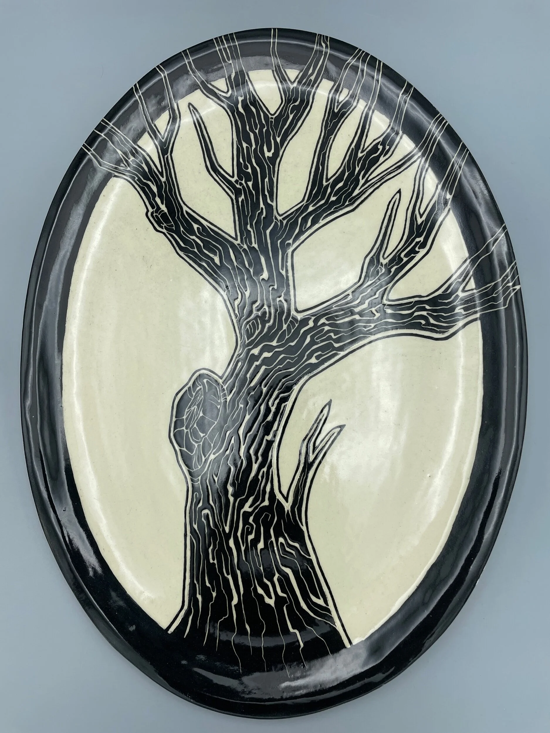 8B5563E6-5CD2-41E6-A722-04A8D94A181A