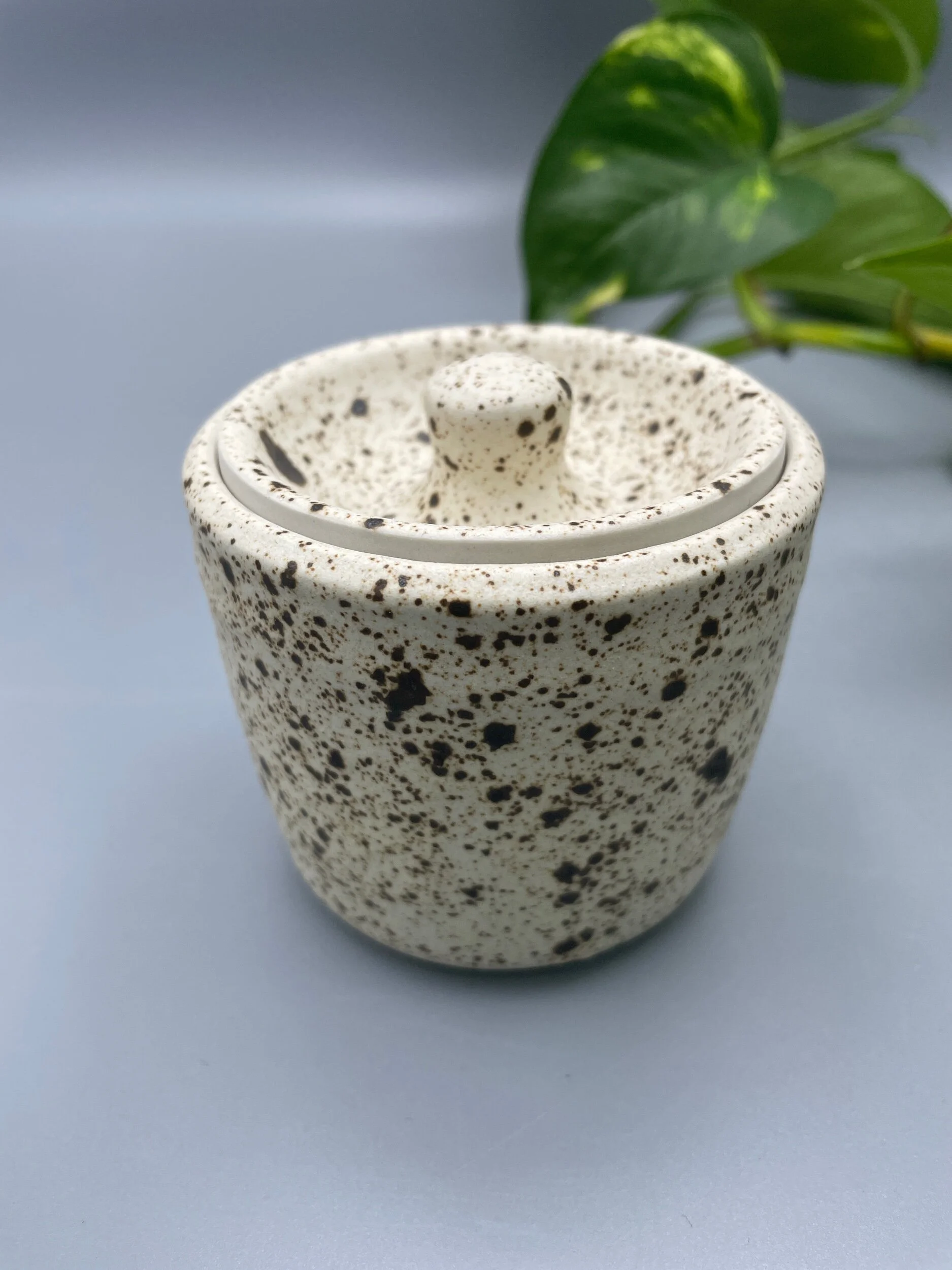 5365AA7A-72A2-4FE5-A64C-69AC442608A6