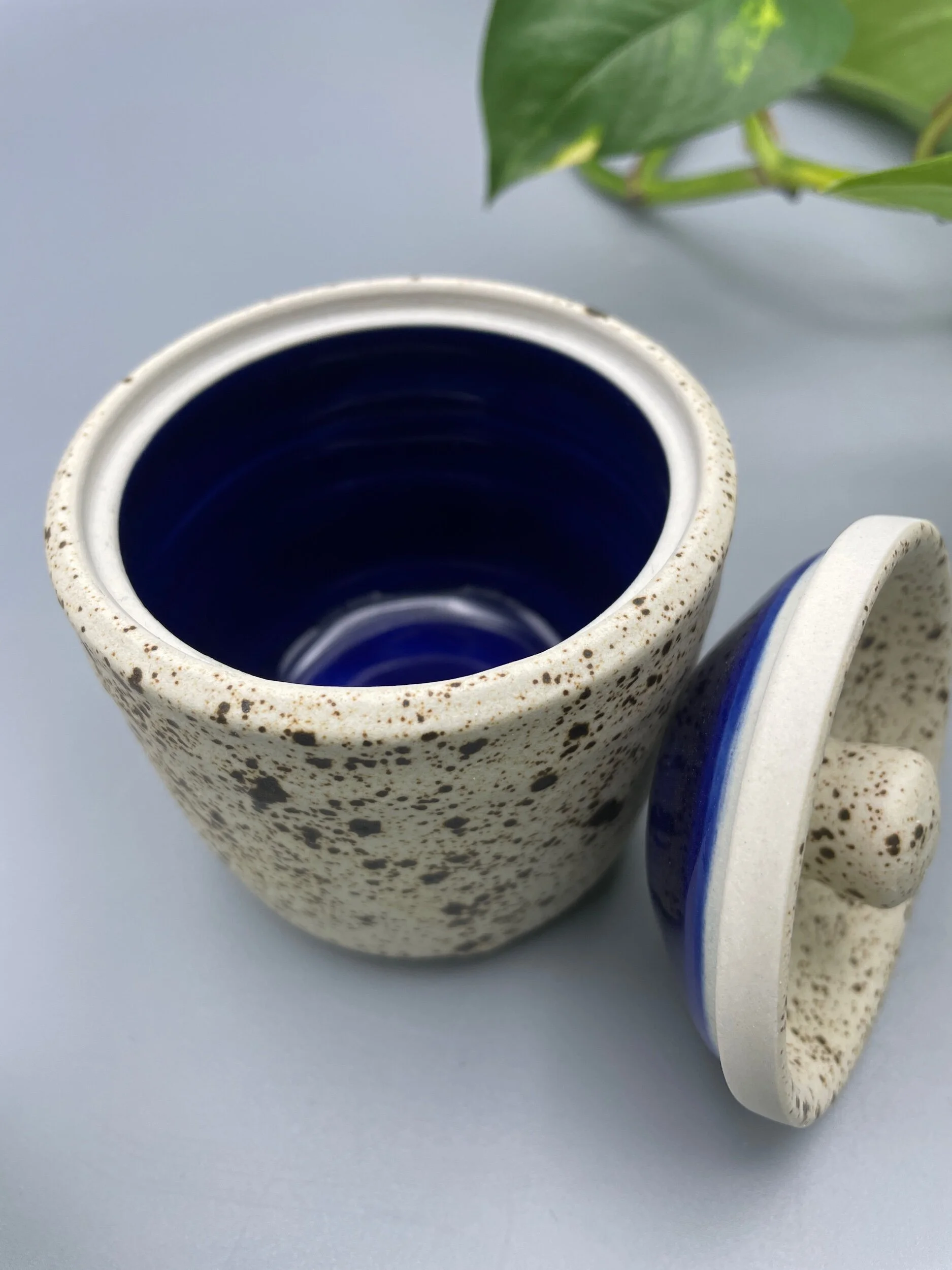 B150754C-4AEE-40E3-B306-26E32BE9F757