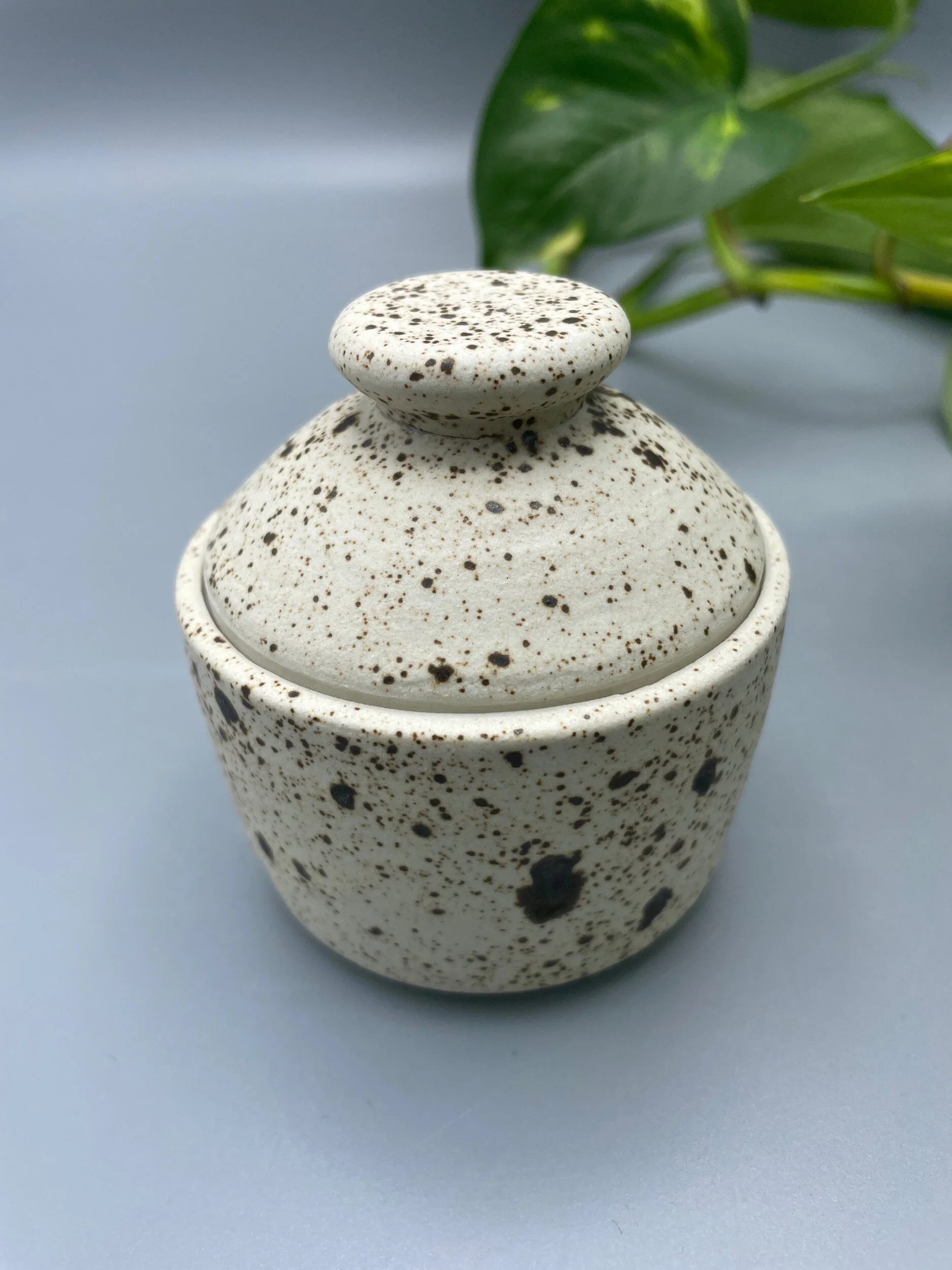 2490FEE8-D208-449E-80D6-6258E2C4E328