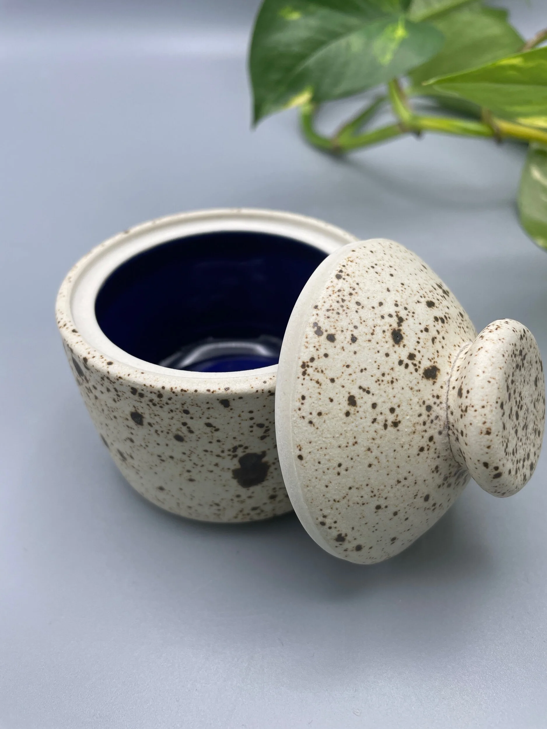 A4DC1937-D7AA-4BDD-97D3-0ACF34374A4D