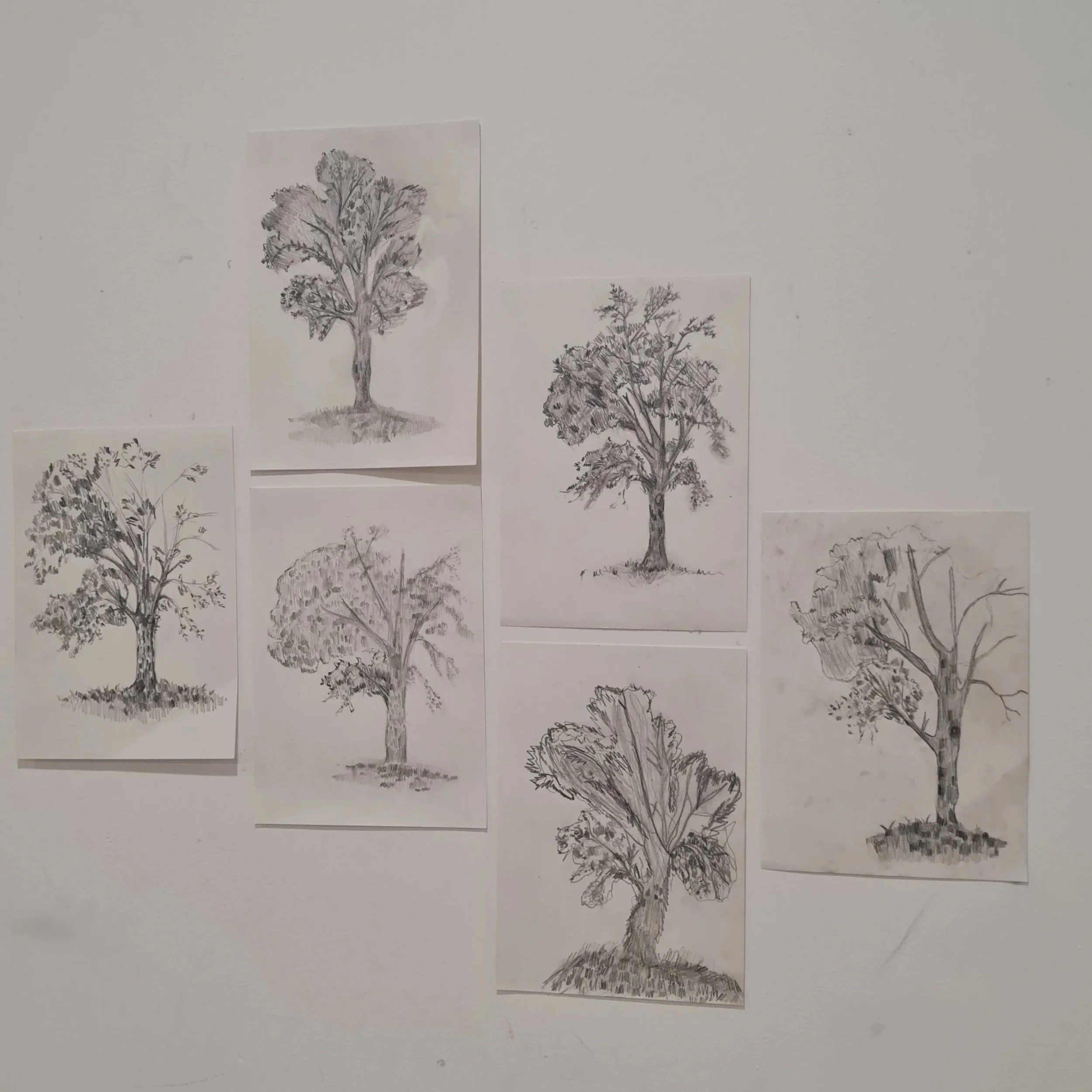 Drawing Creatives  | Years 3–6