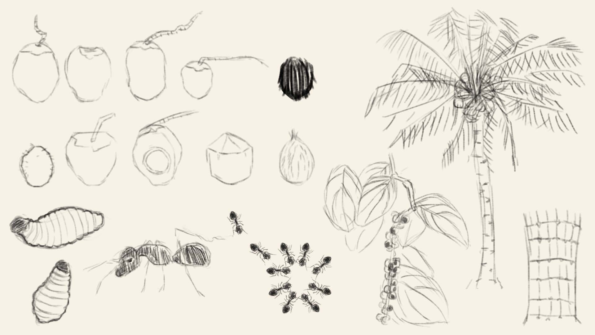Bugs-Plants-Sketch.jpg