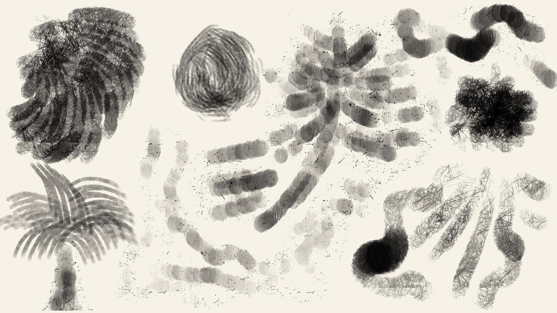 Brushes.jpg