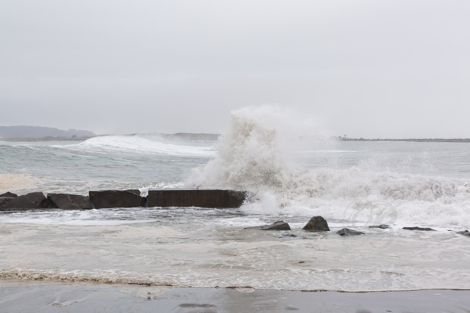KingTide-3.jpg
