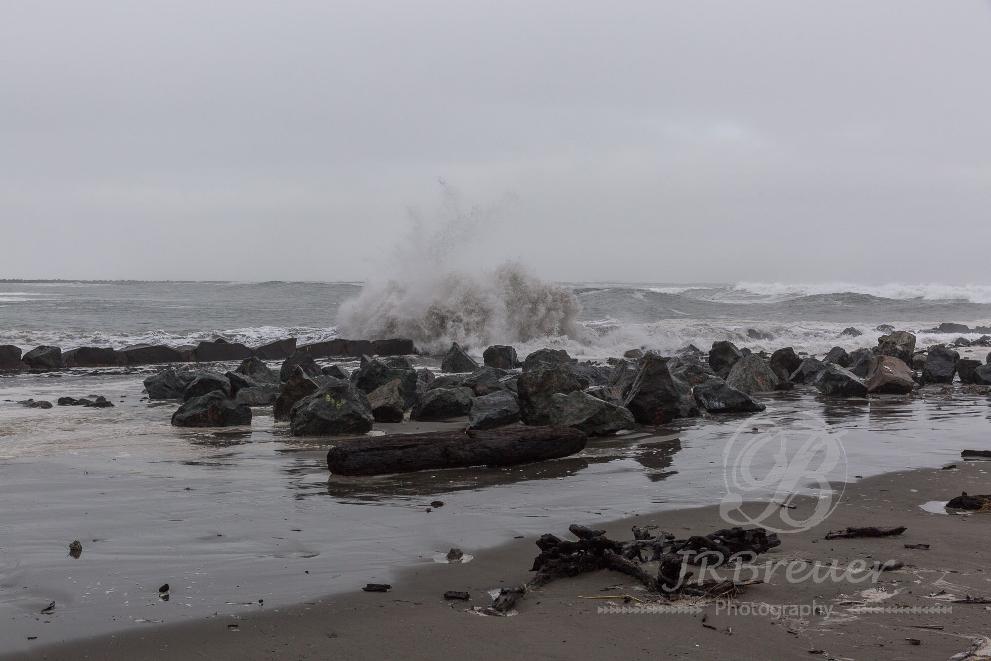 KingTide-5.jpg