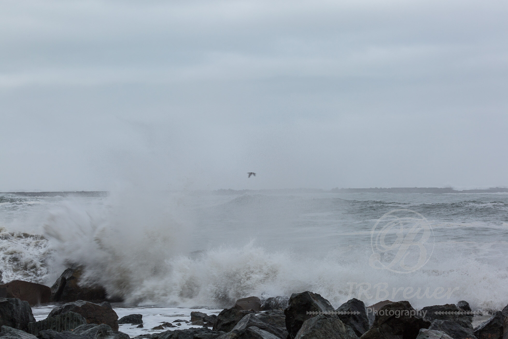 KingTide-7.jpg