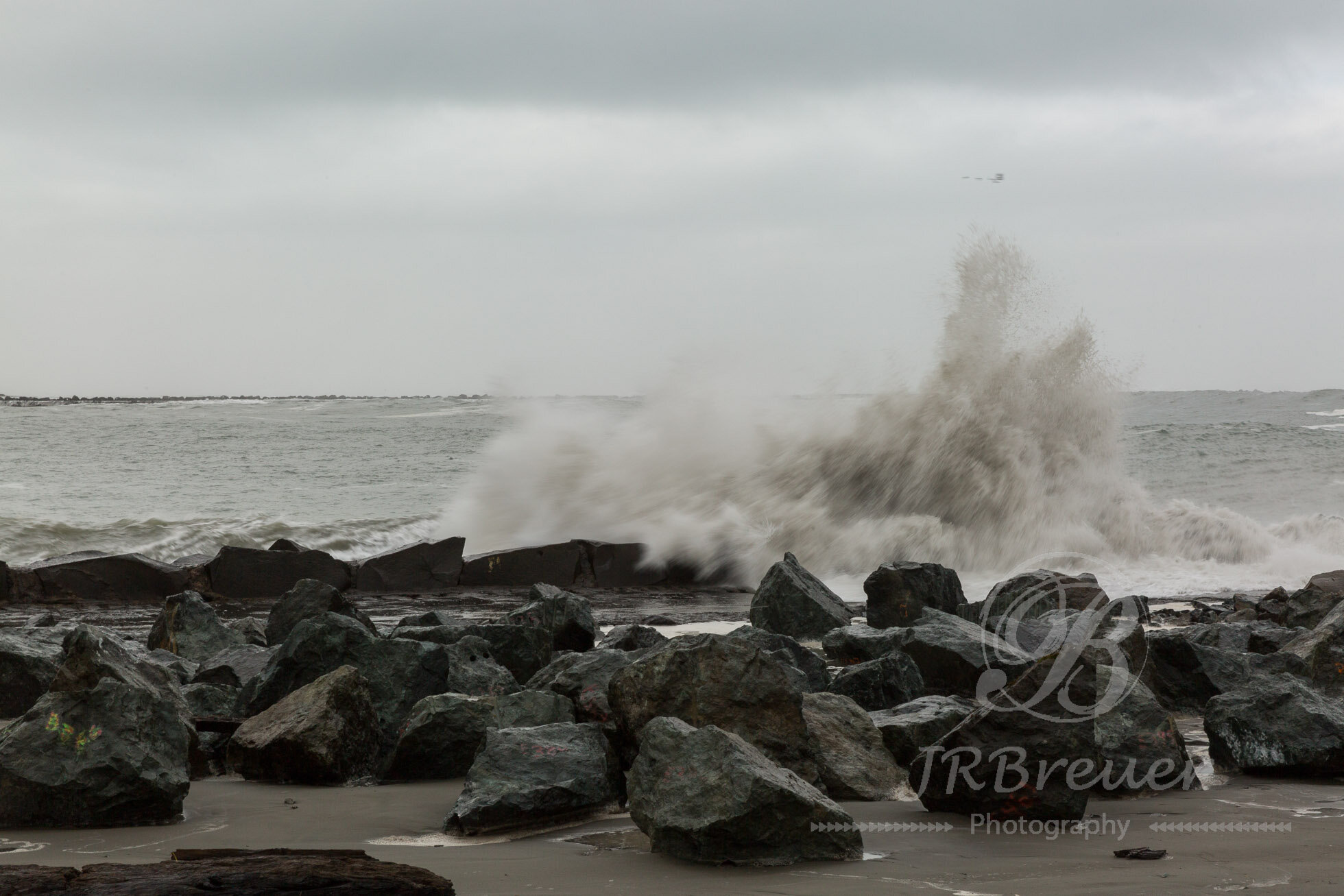 KingTide-13.jpg