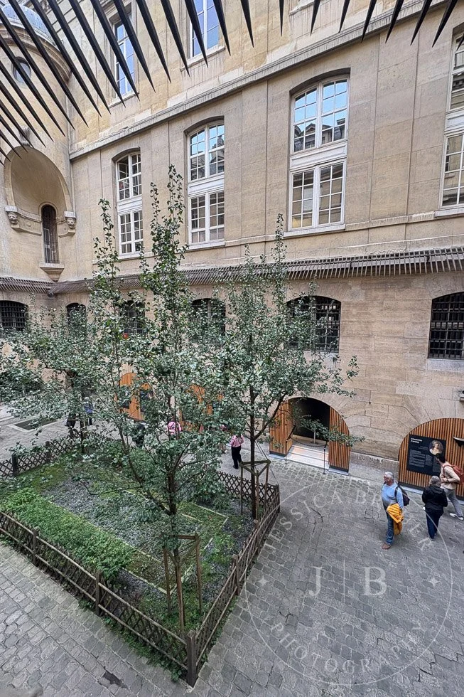 Paris5-PortWeb-21.jpg