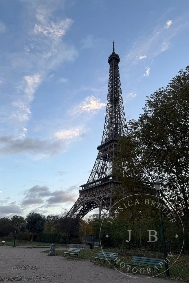 Paris6-PortWeb-1.jpg