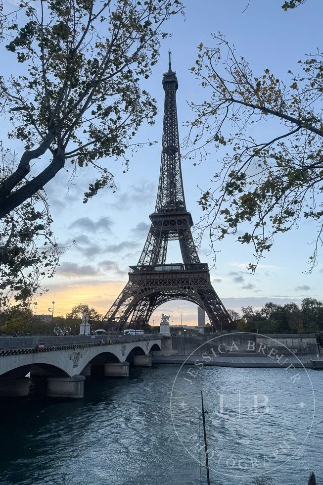 Paris6-PortWeb-3.jpg