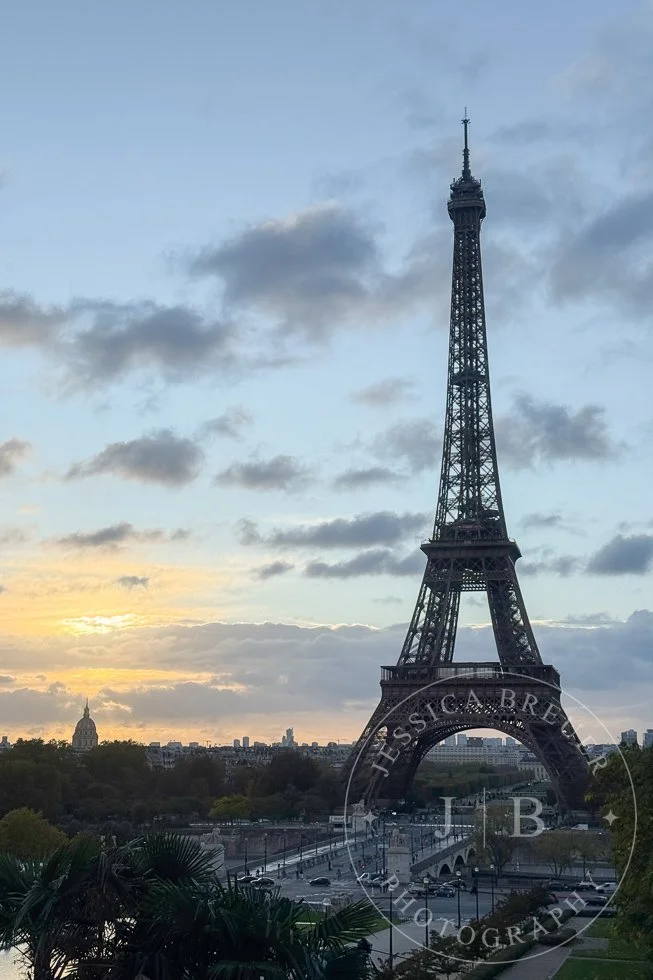 Paris6-PortWeb-6.jpg
